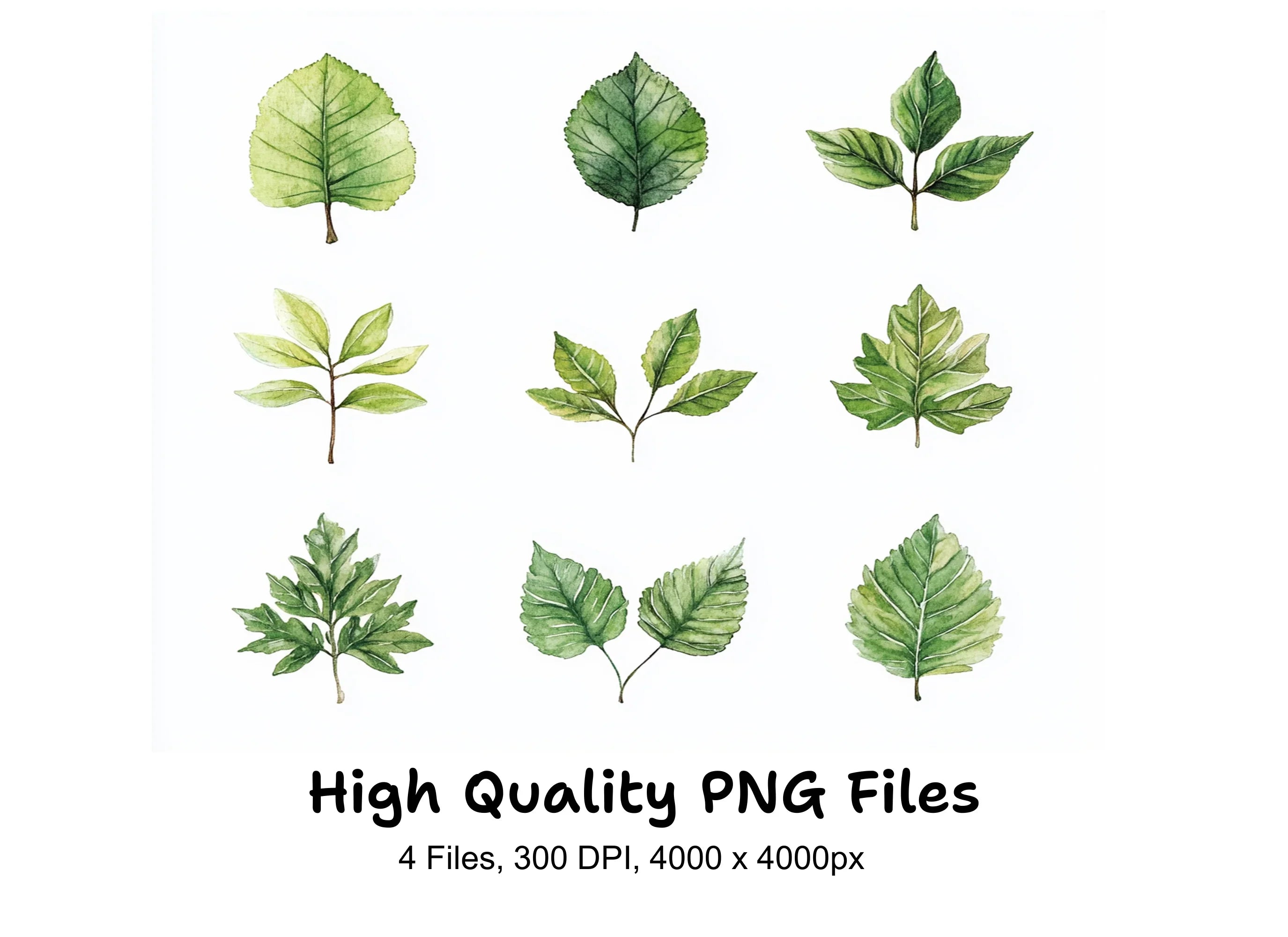 Diverse Green Leaves Clipart Bundle