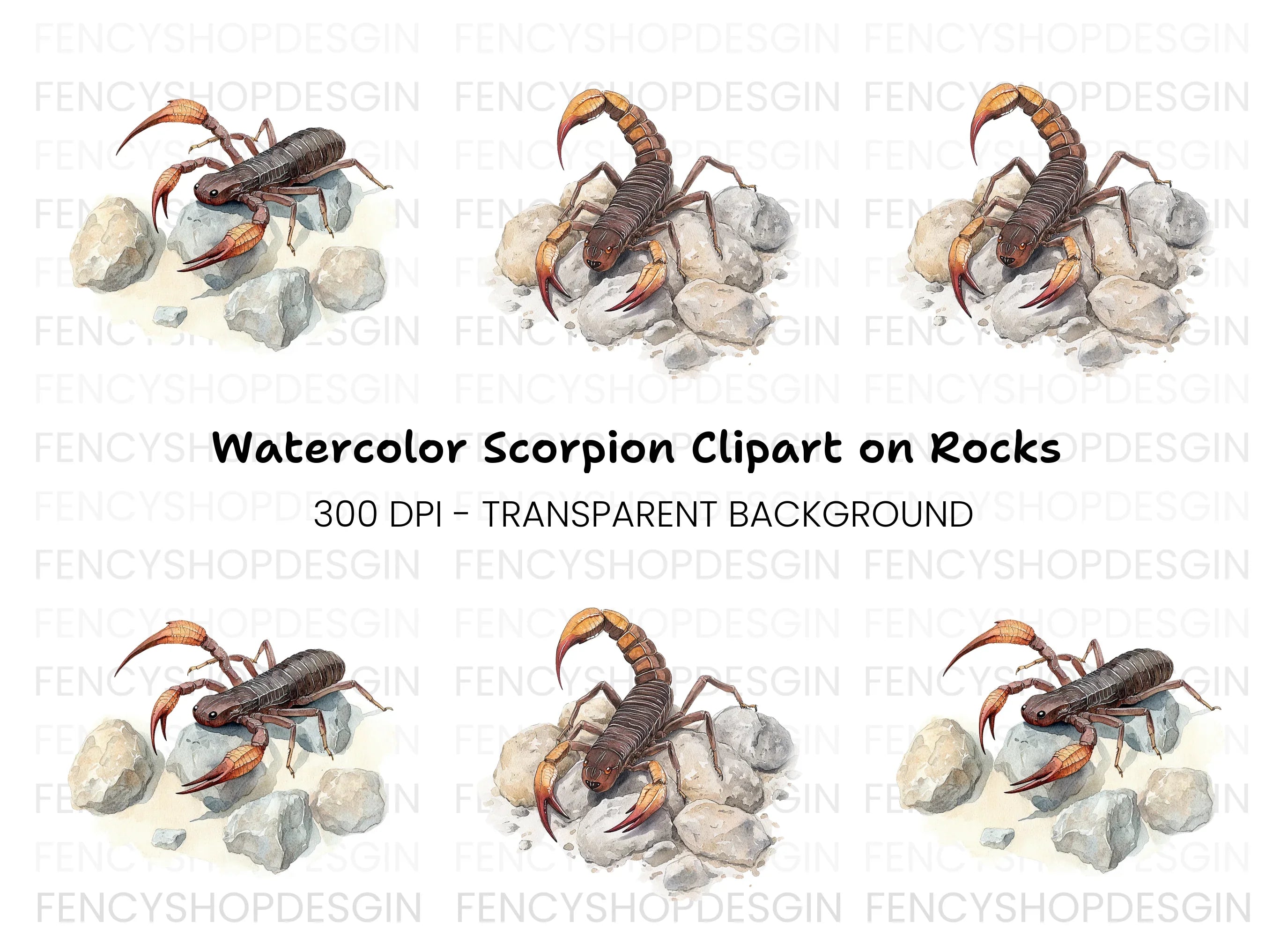 Scorpion on Rocks Clipart Bundle