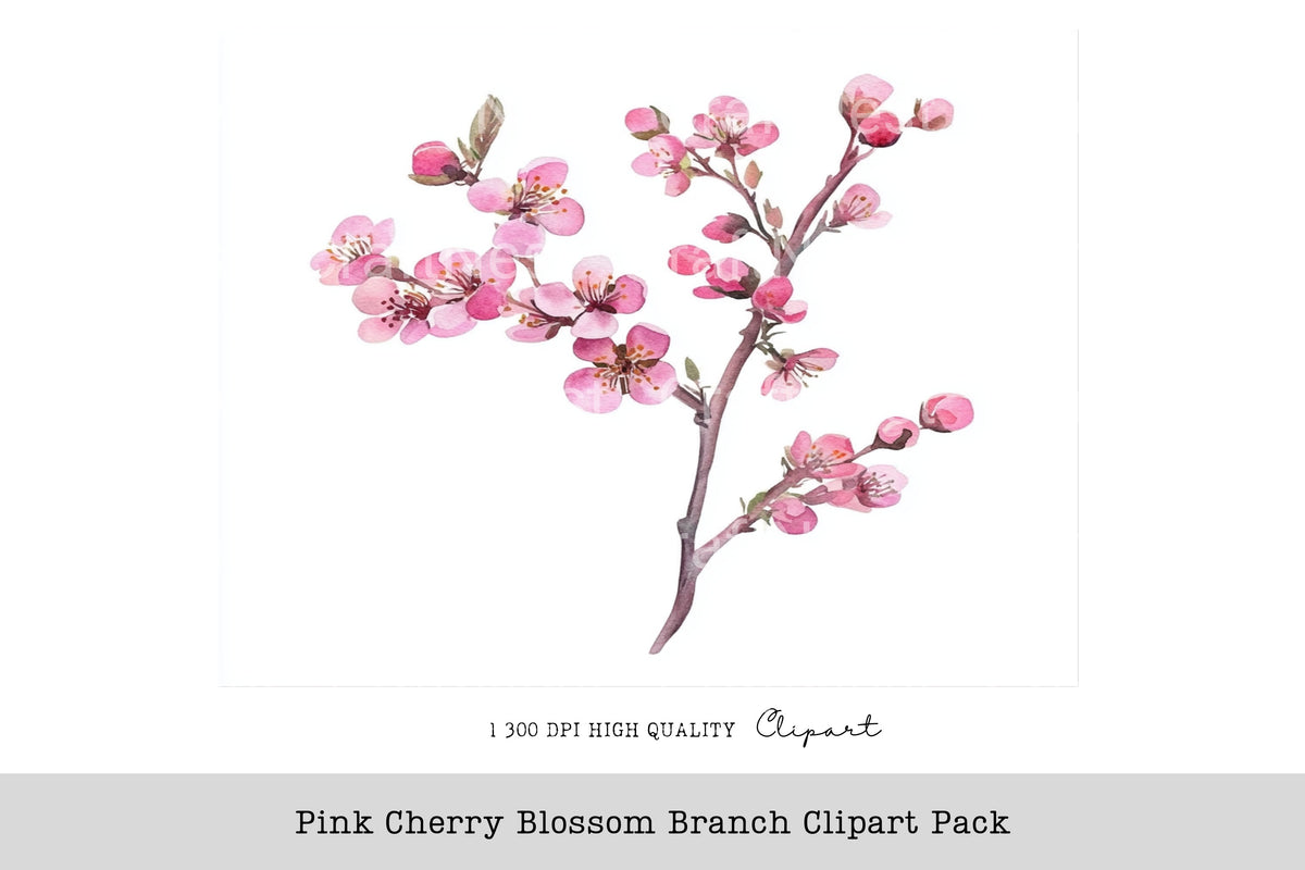 Pink Cherry Blossom Branch Clipart Bundle
