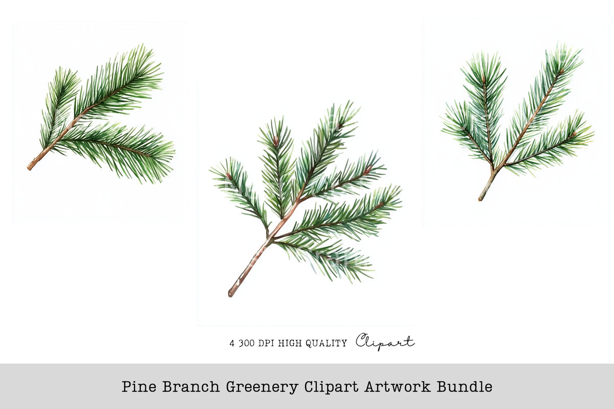 Pine Branch Greenery Artwork Clipart Bundle
