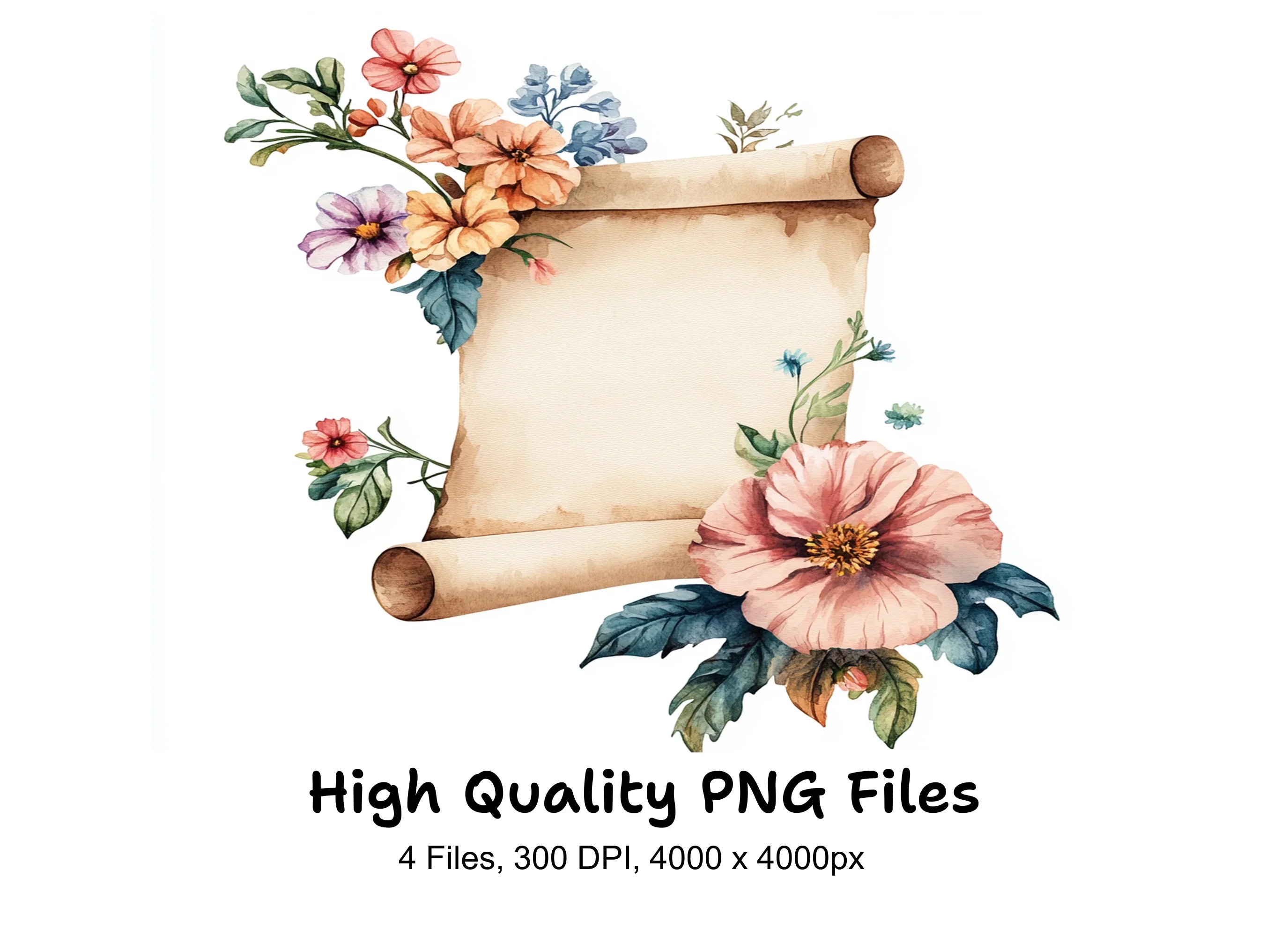 Floral Scroll Clipart Bundle