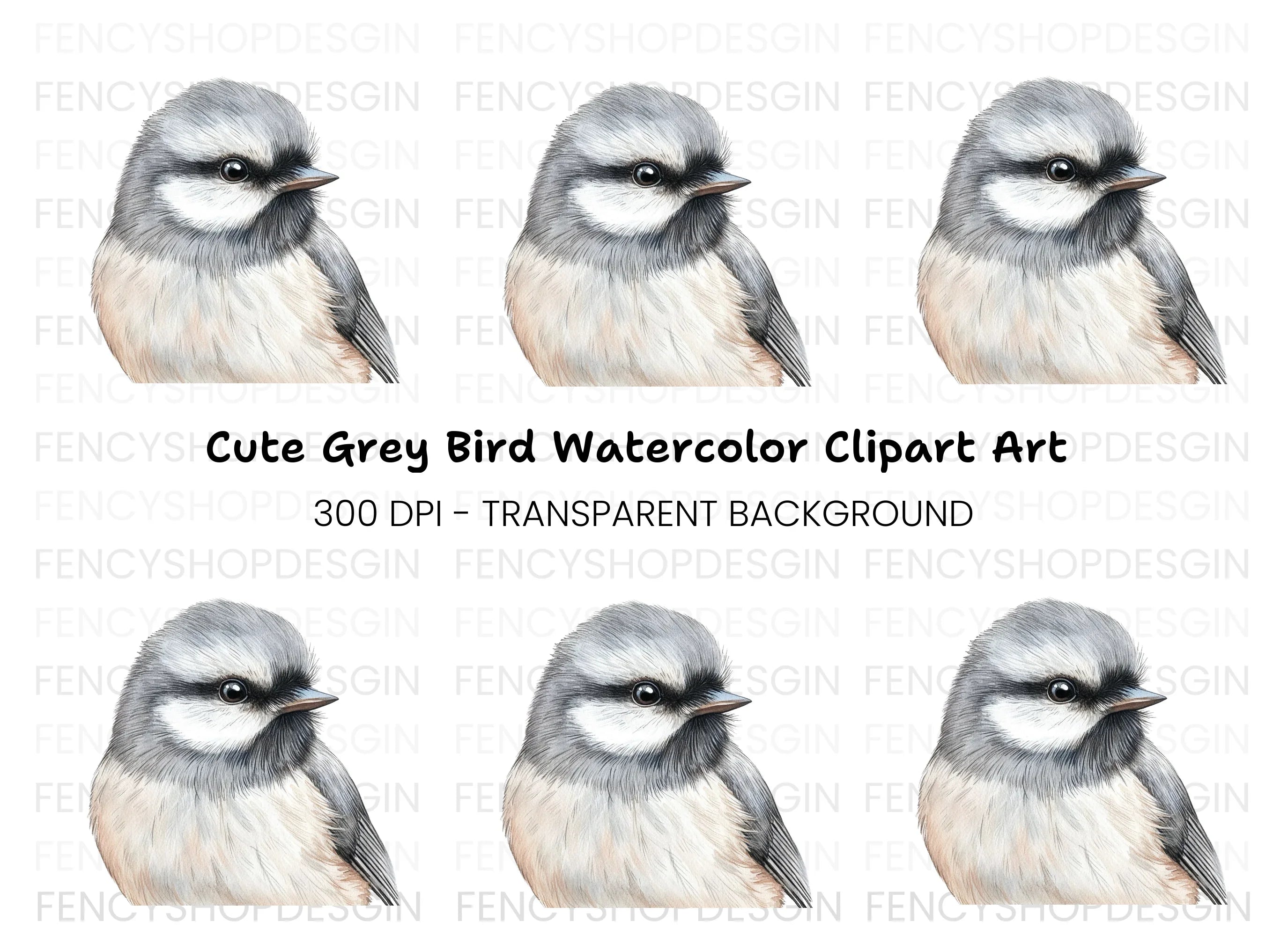 Detailed Bird Head Illustration Clipart Bundle