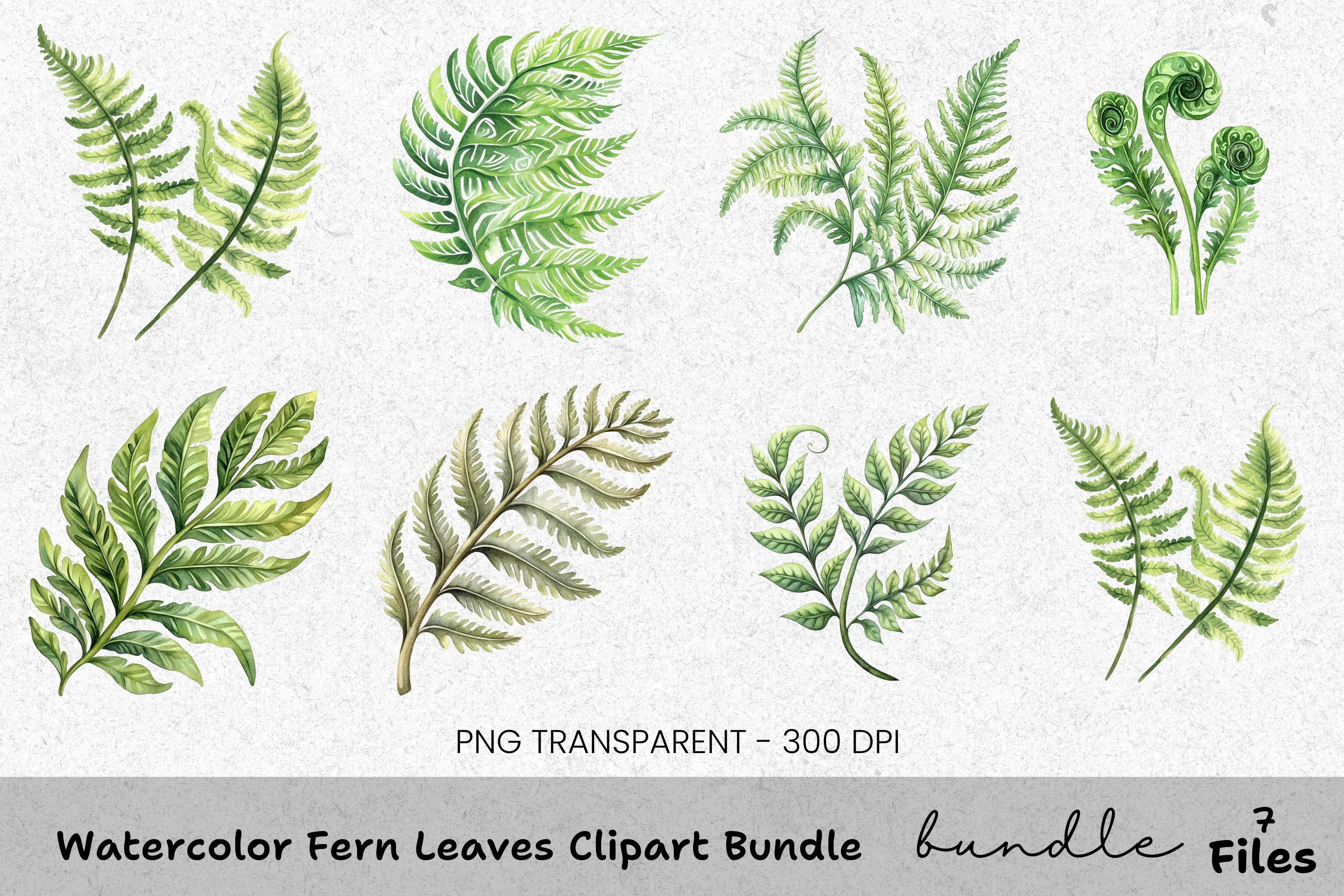 Fern Leaves Clipart Bundle