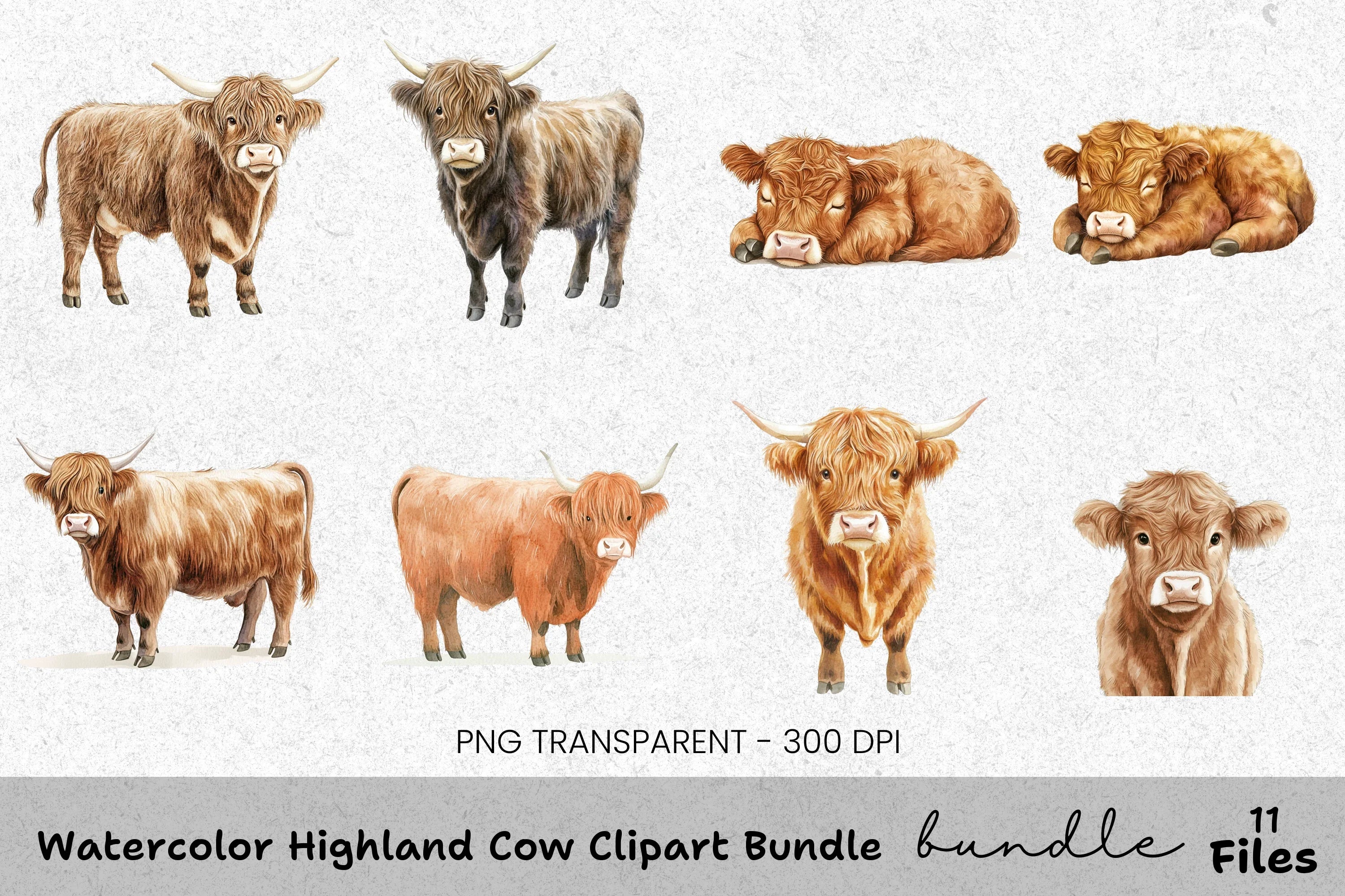 Highland Cow Clipart Bundle