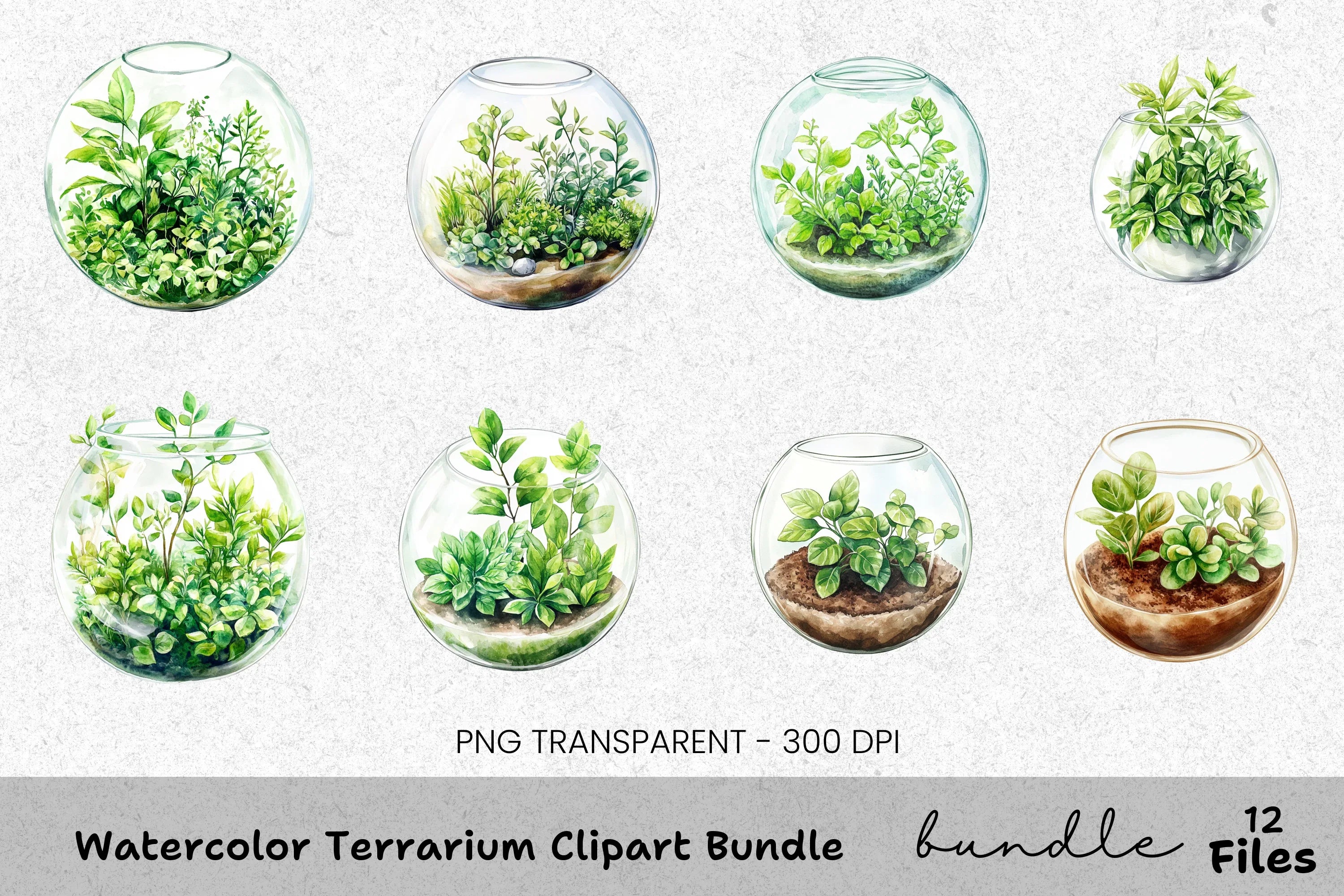 Terrarium Clipart Bundle
