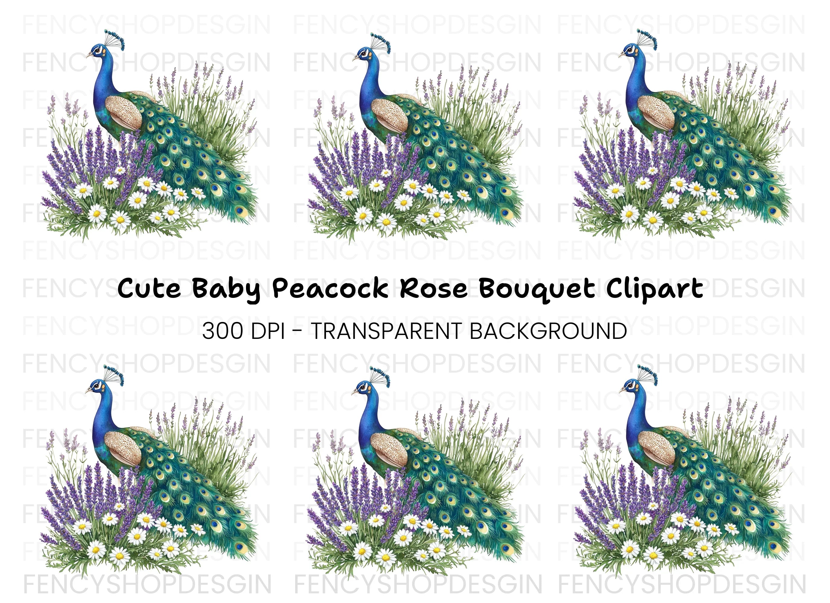 Peacock with Lavender and Daisies Clipart Bundle