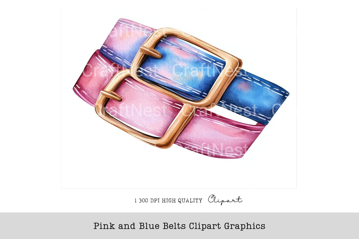 Pink And Blue Belts Graphics Clipart Bundle