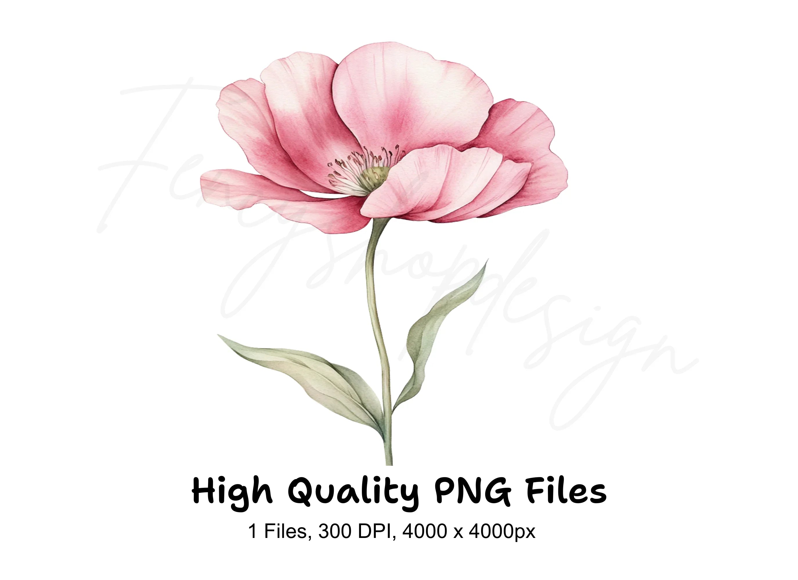 Pink Flower Clipart Bundle