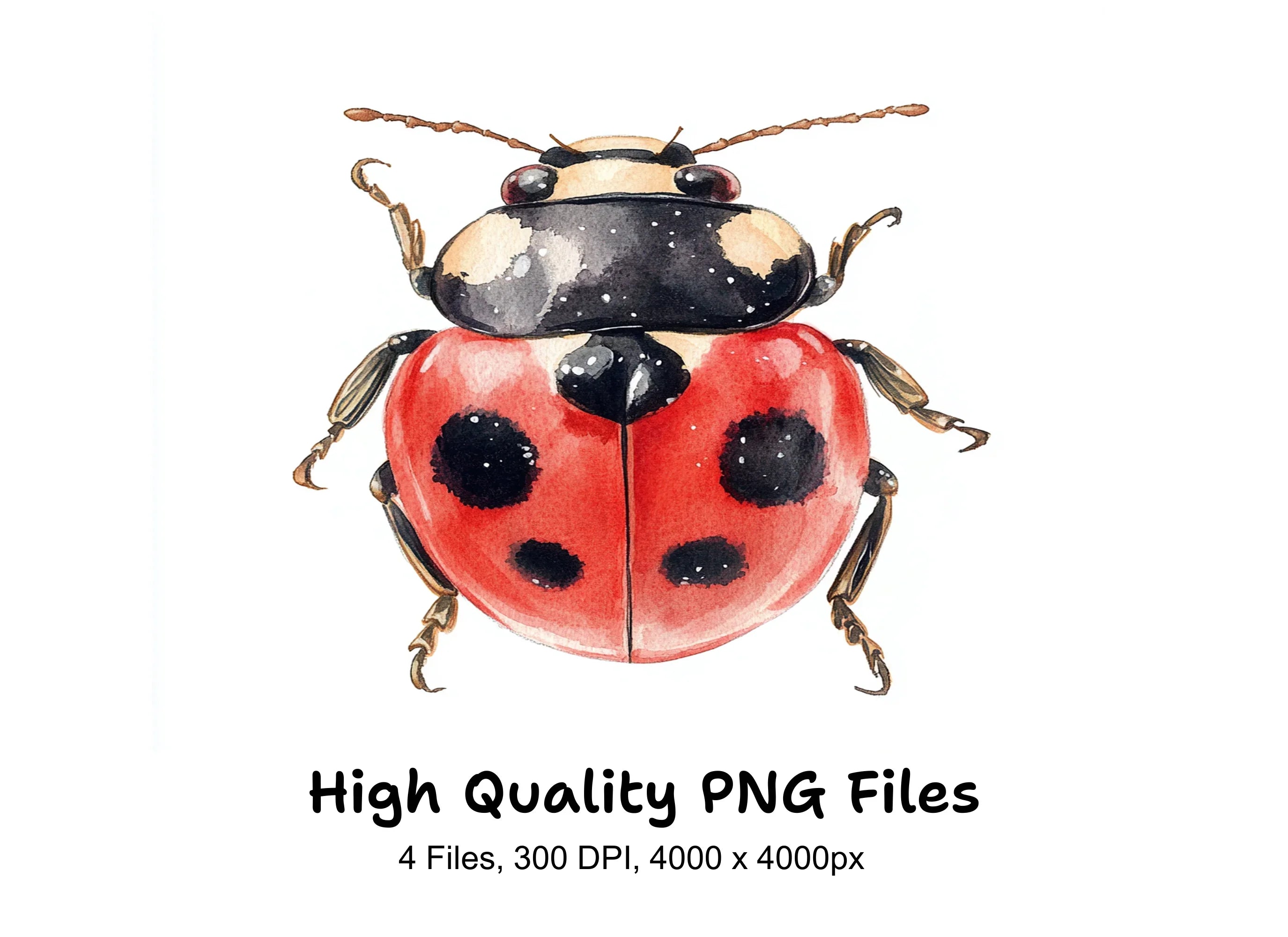 Ladybug Clipart Bundle