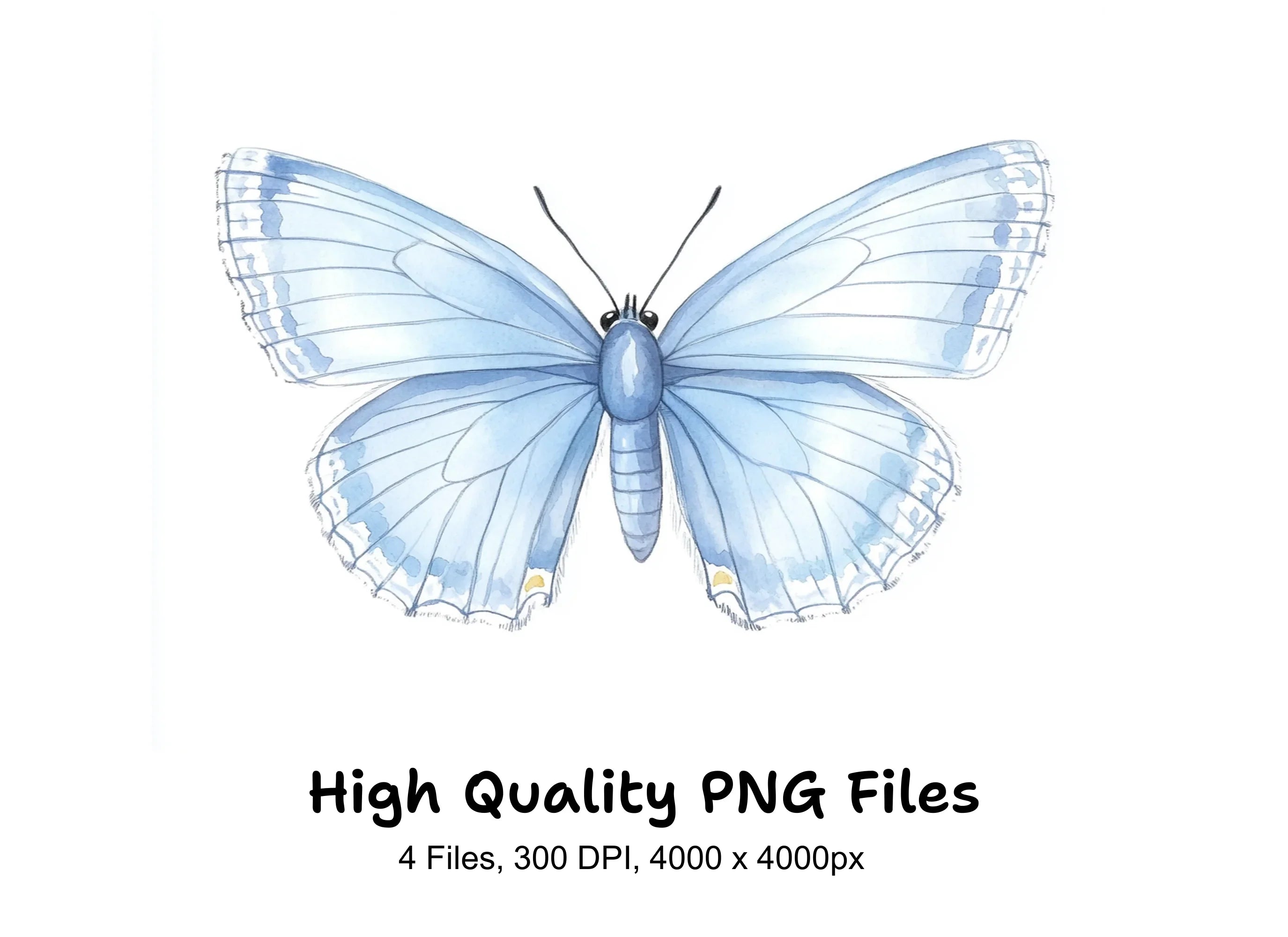 Beautiful Blue Butterfly Clipart Bundle