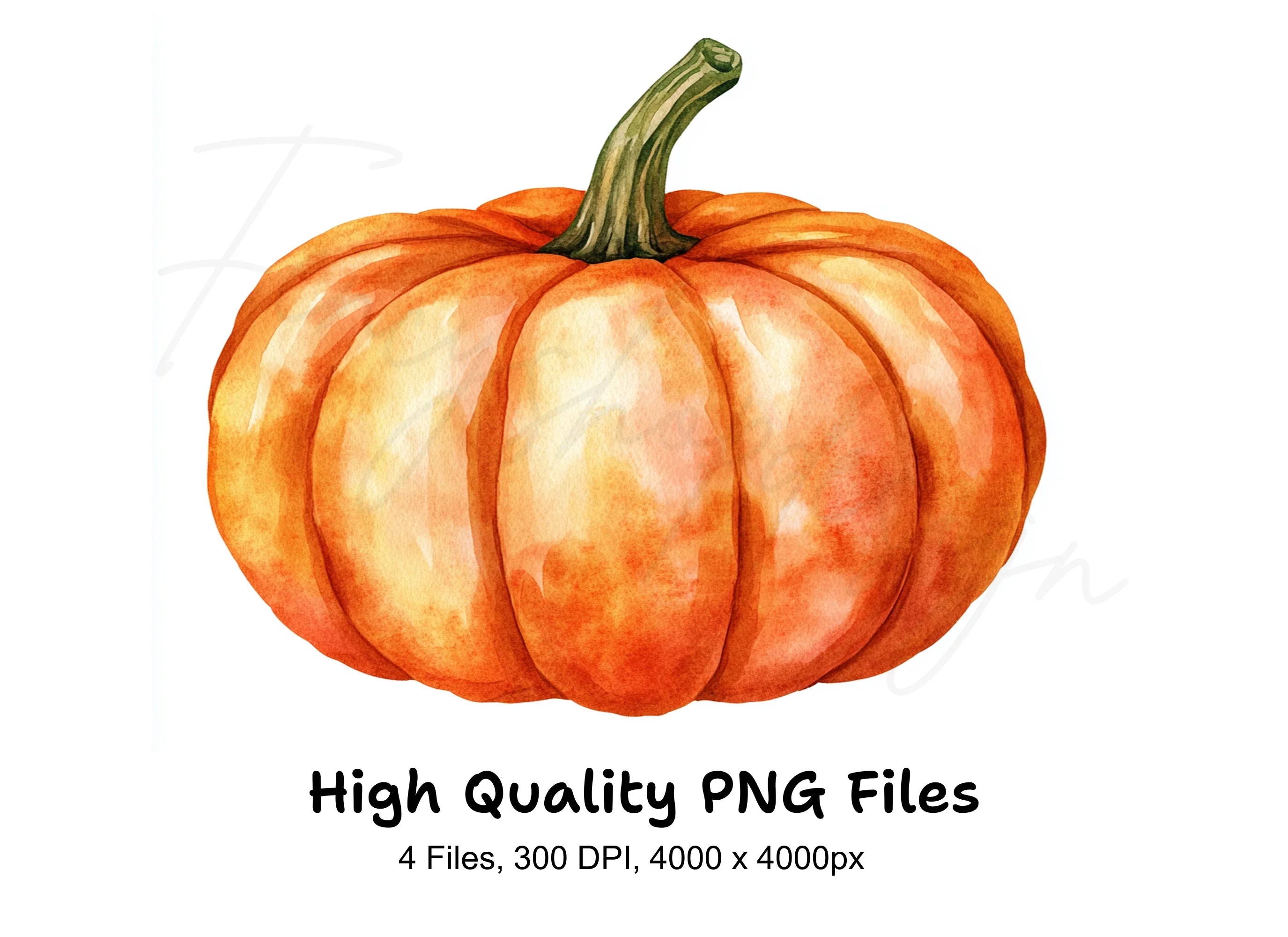 Pumpkin Clipart Bundle