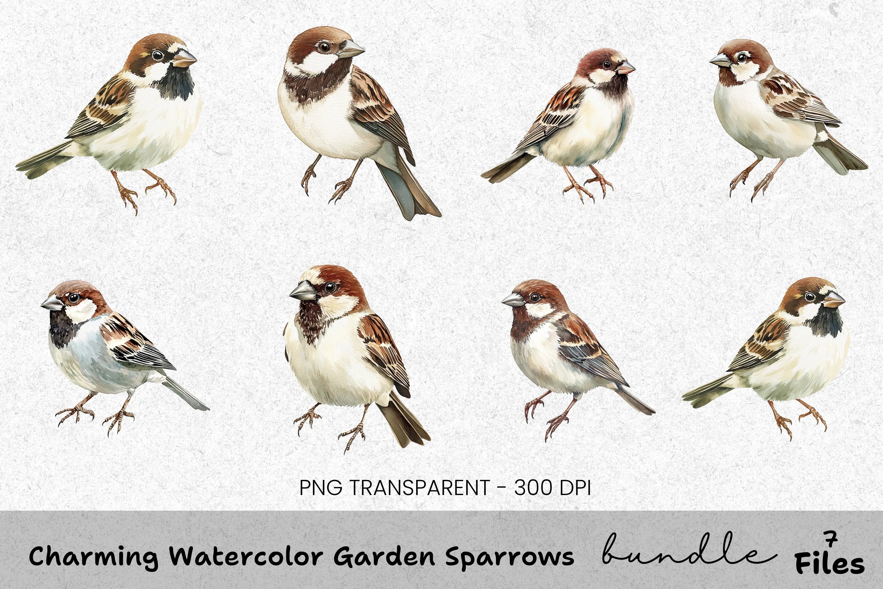 Charming Garden Sparrows Clipart Bundle