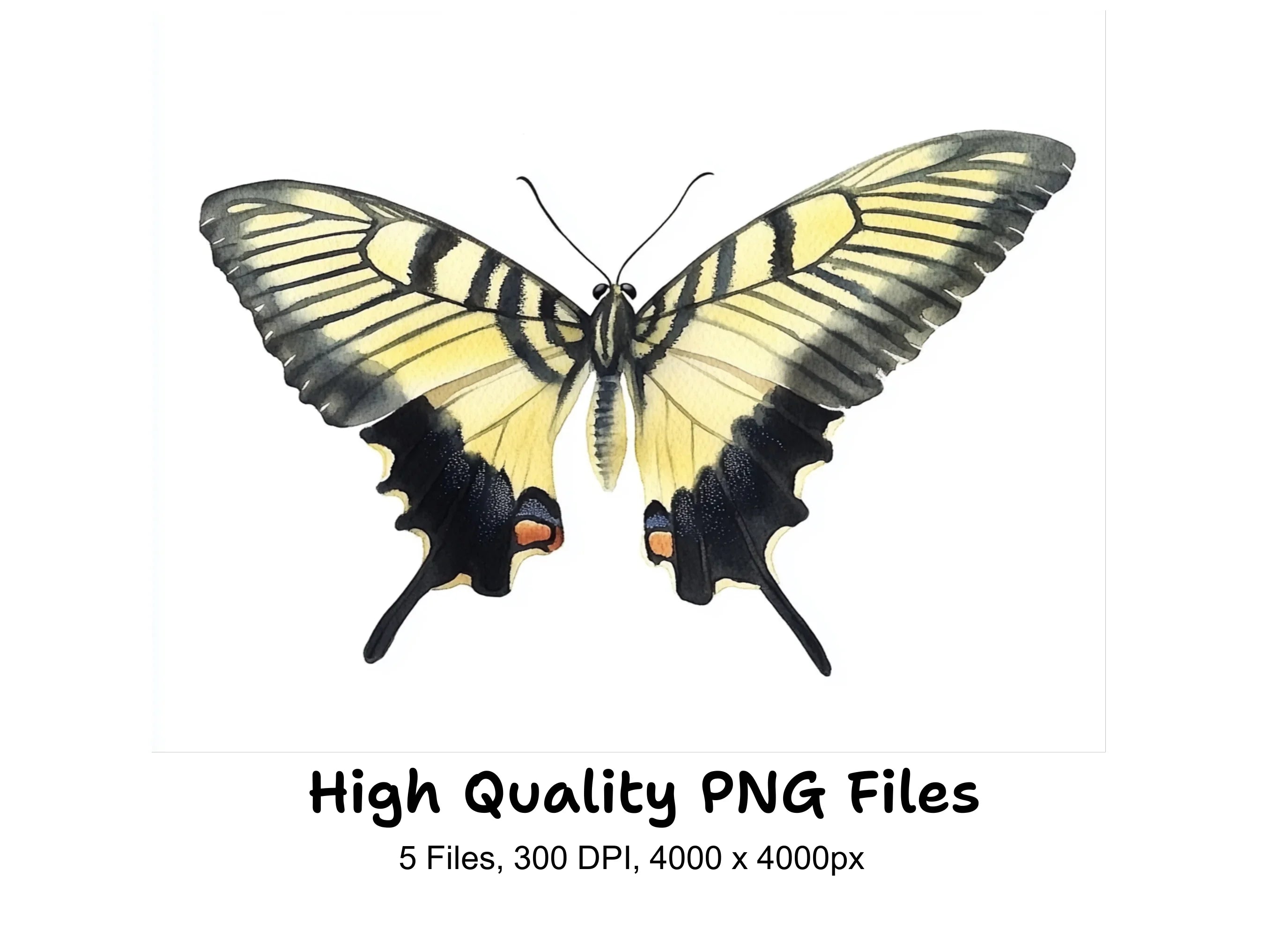 Striped Swallowtail Butterfly Clipart Bundle