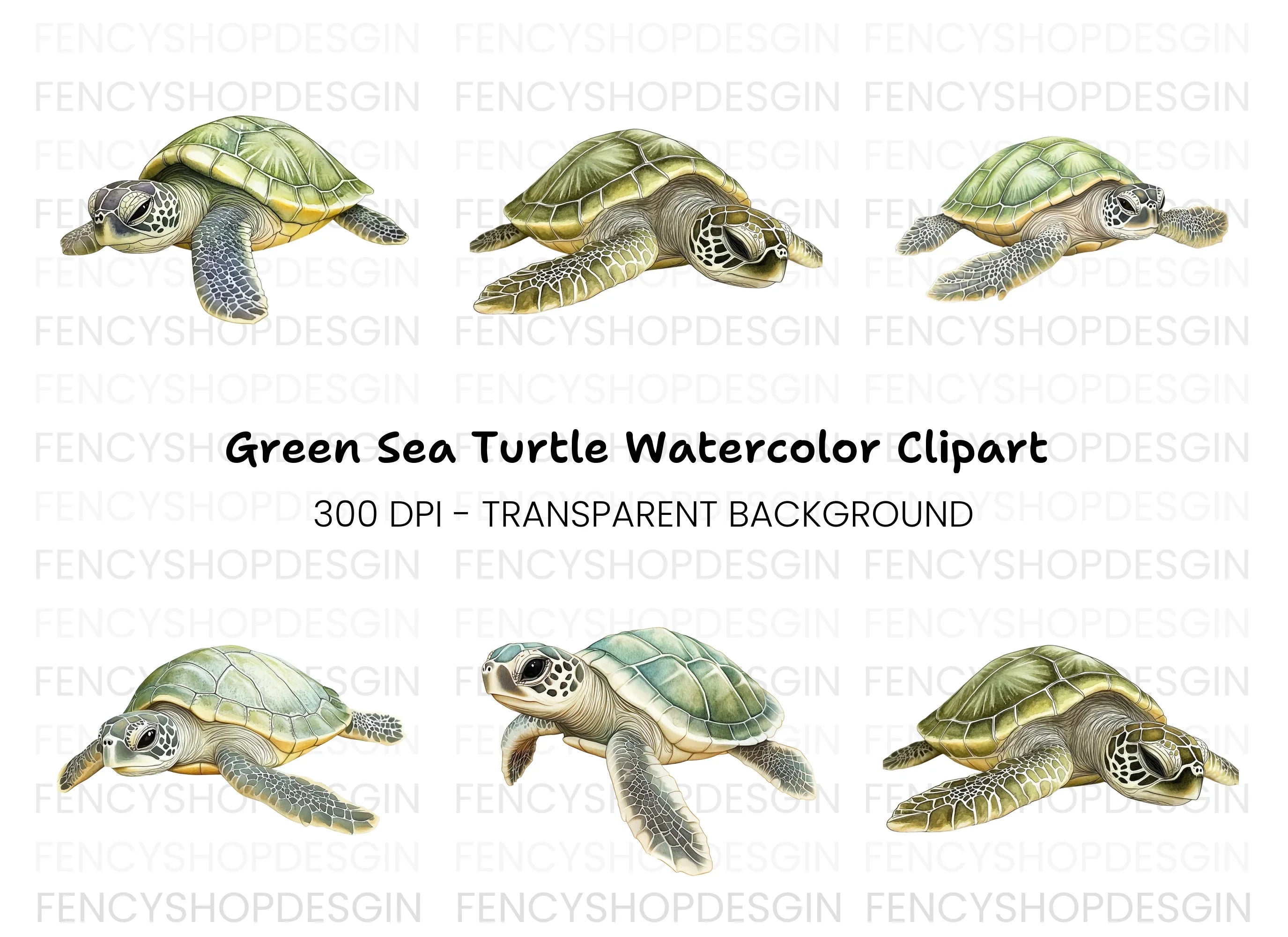 Green Sea Turtle Clipart Bundle