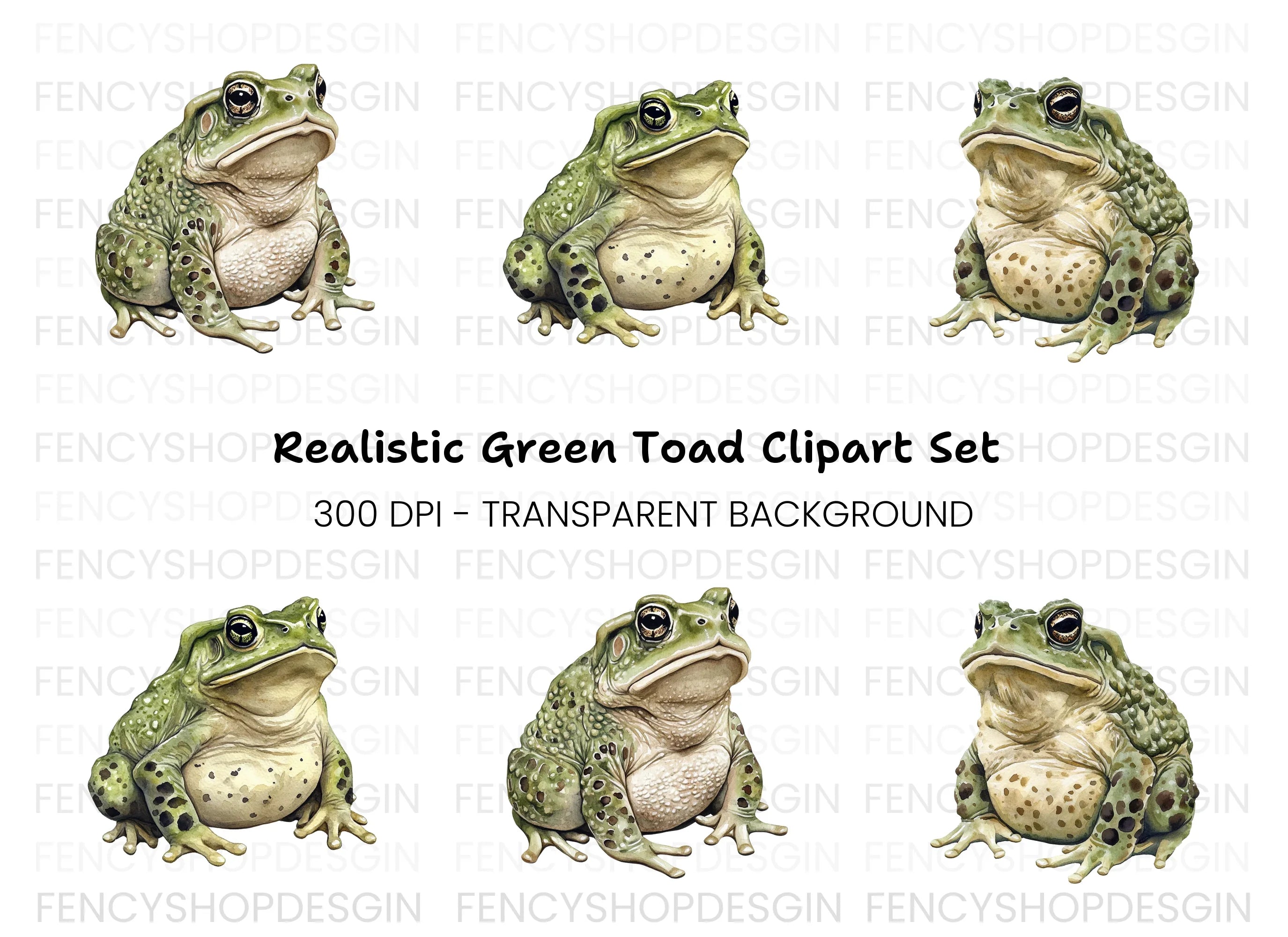 Toads Clipart Bundle