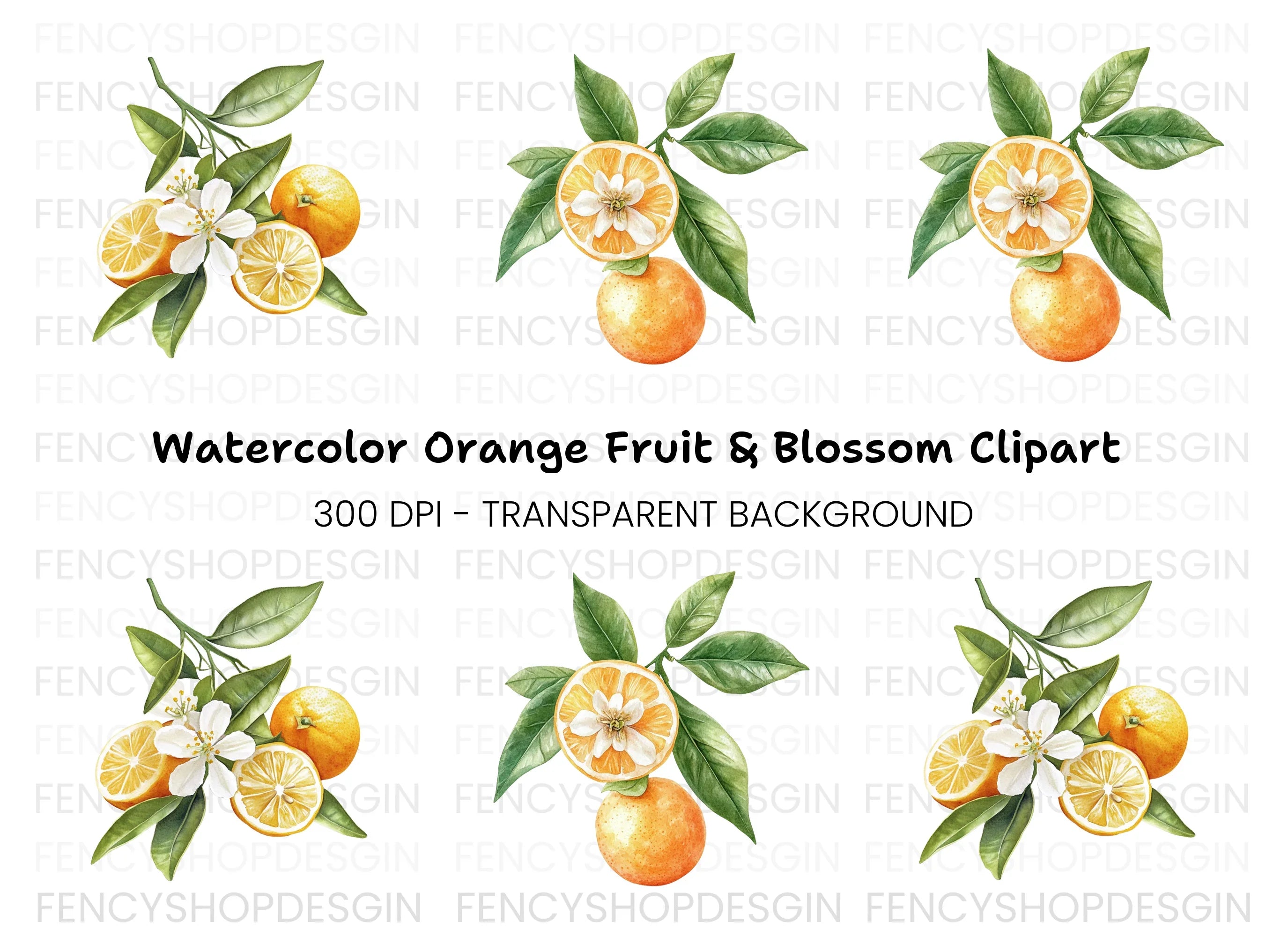 Citrus Fruit Blossom Clipart Bundle