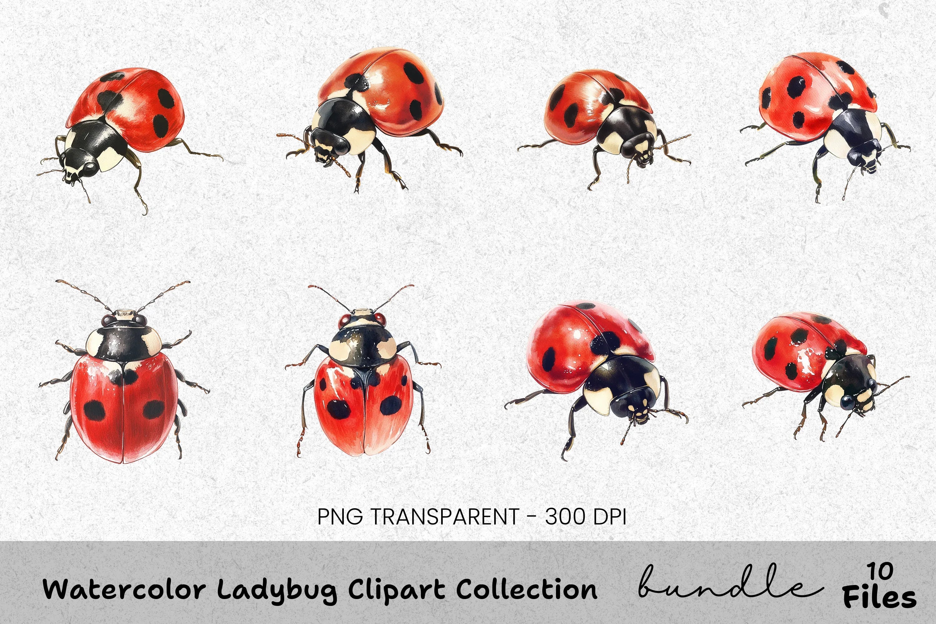 Ladybug Clipart Bundle