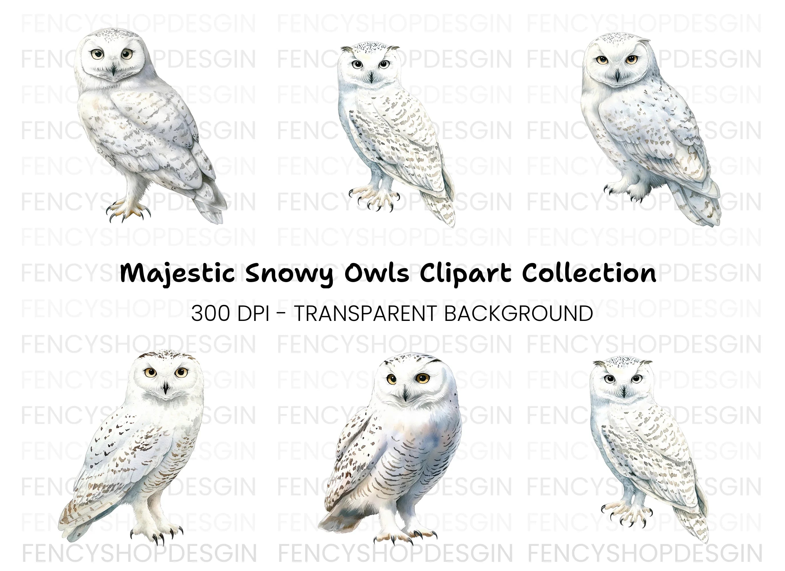 Elegant Snowy Owl Clipart Bundle