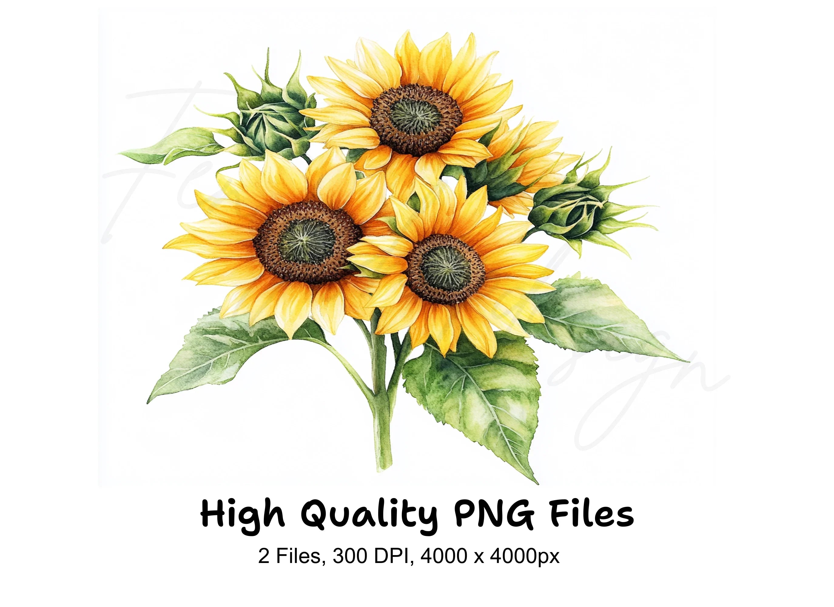 Vibrant Sunflower Bouquets Clipart Bundle