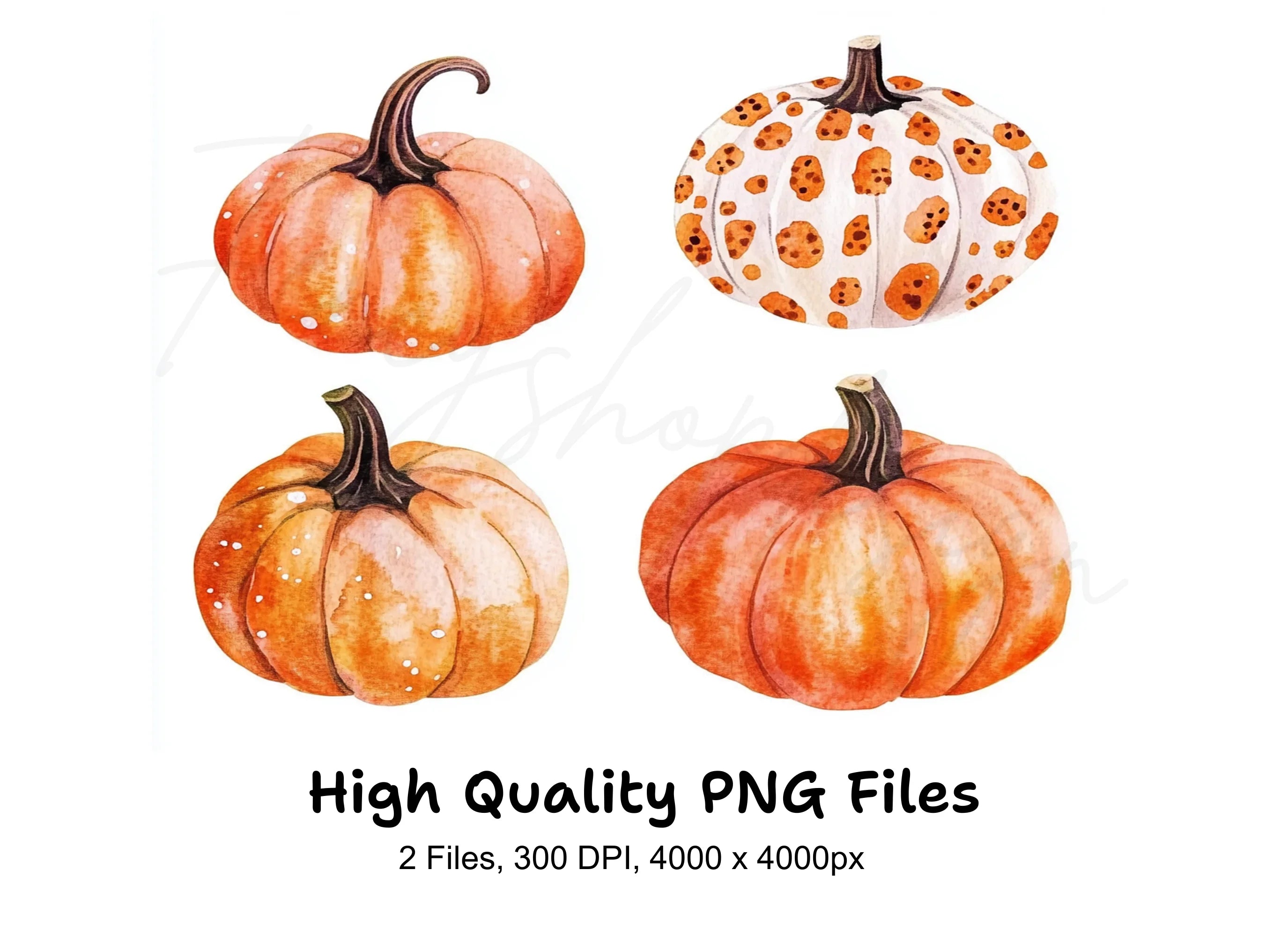 Rustic Fall Pumpkin Leaves Clipart Bundle