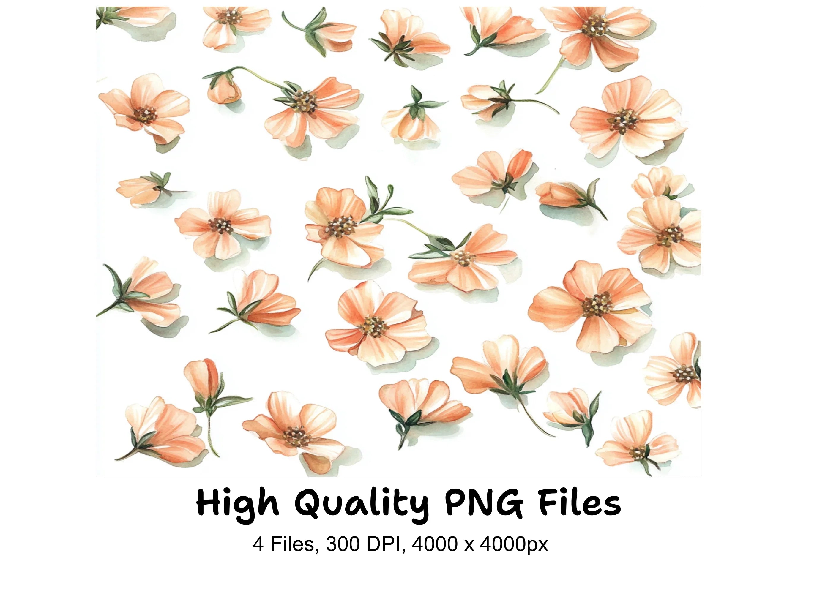 Delicate Peach Floral Clipart Bundle
