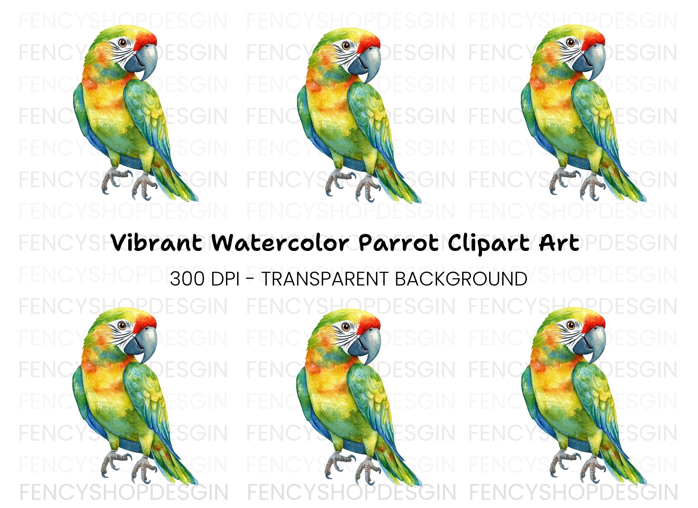 Vibrant Parrot Clipart Bundle