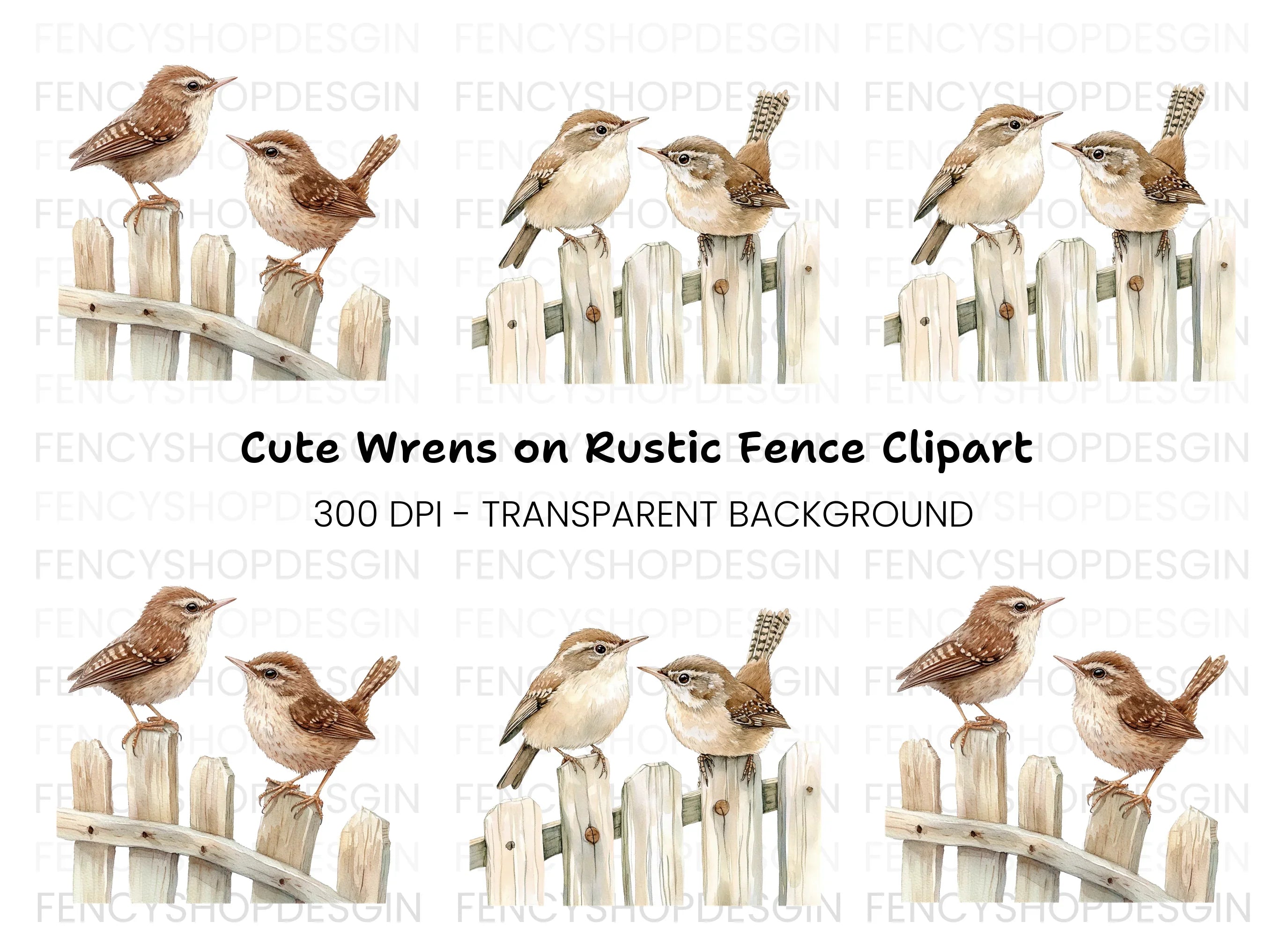 Charming Wren Birds on Fence Clipart Bundle