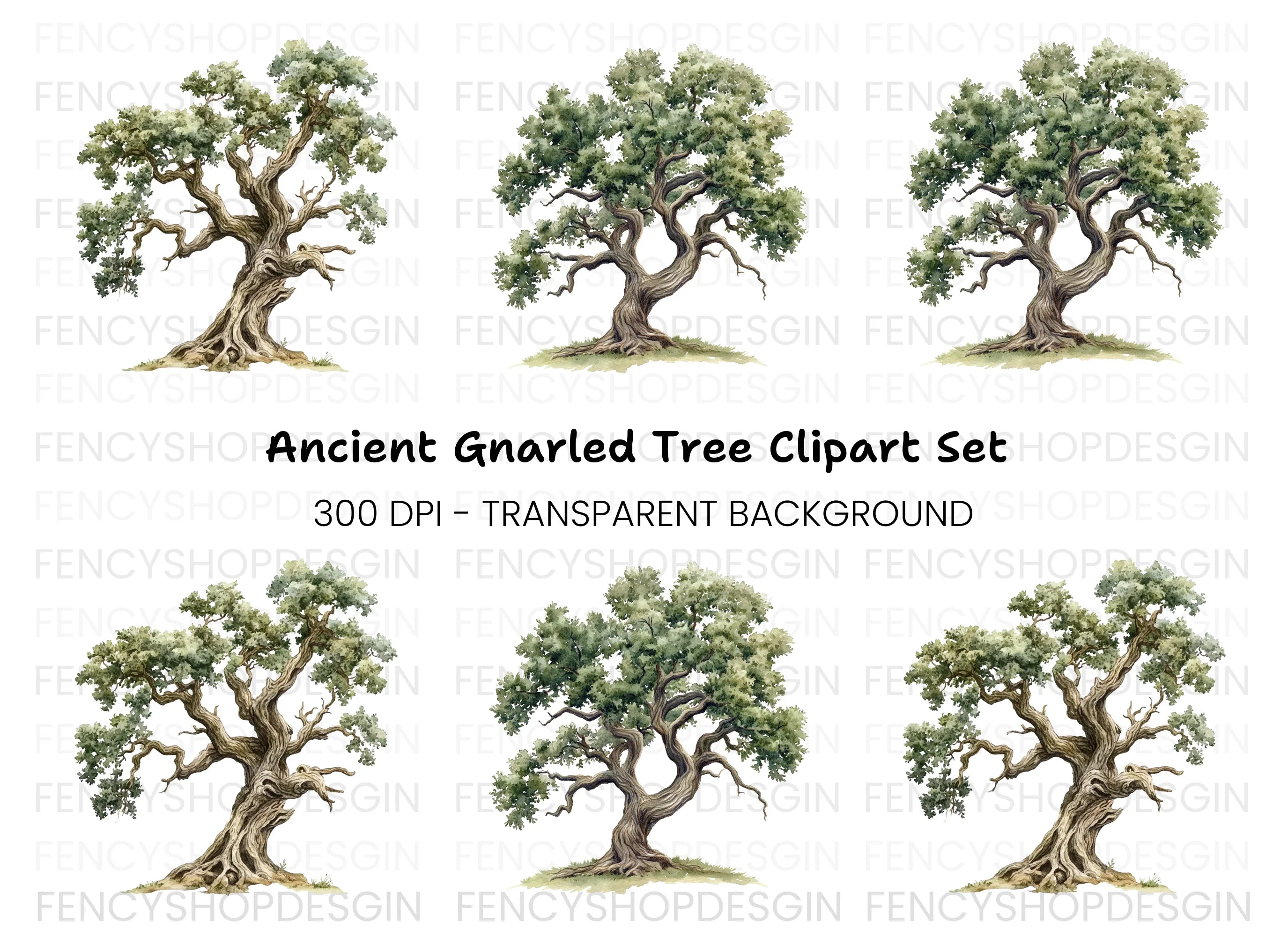 Ancient Oak Tree Clipart Bundle