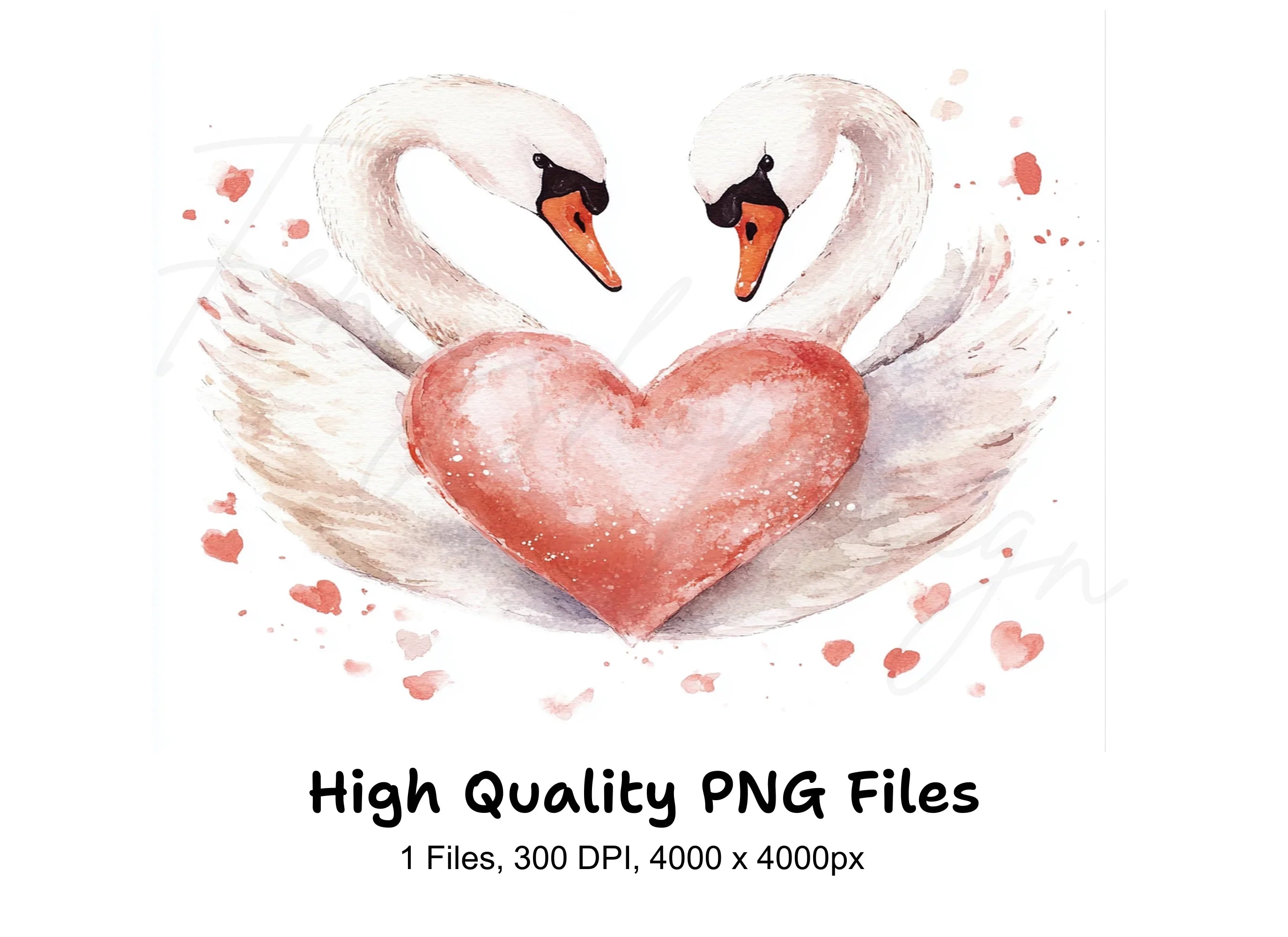 Romantic Swan Heart Clipart Bundle