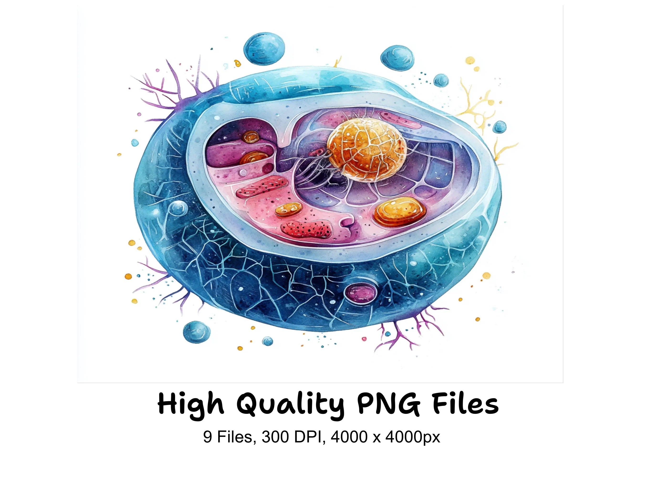 Vibrant Cell Structure Clipart Bundle