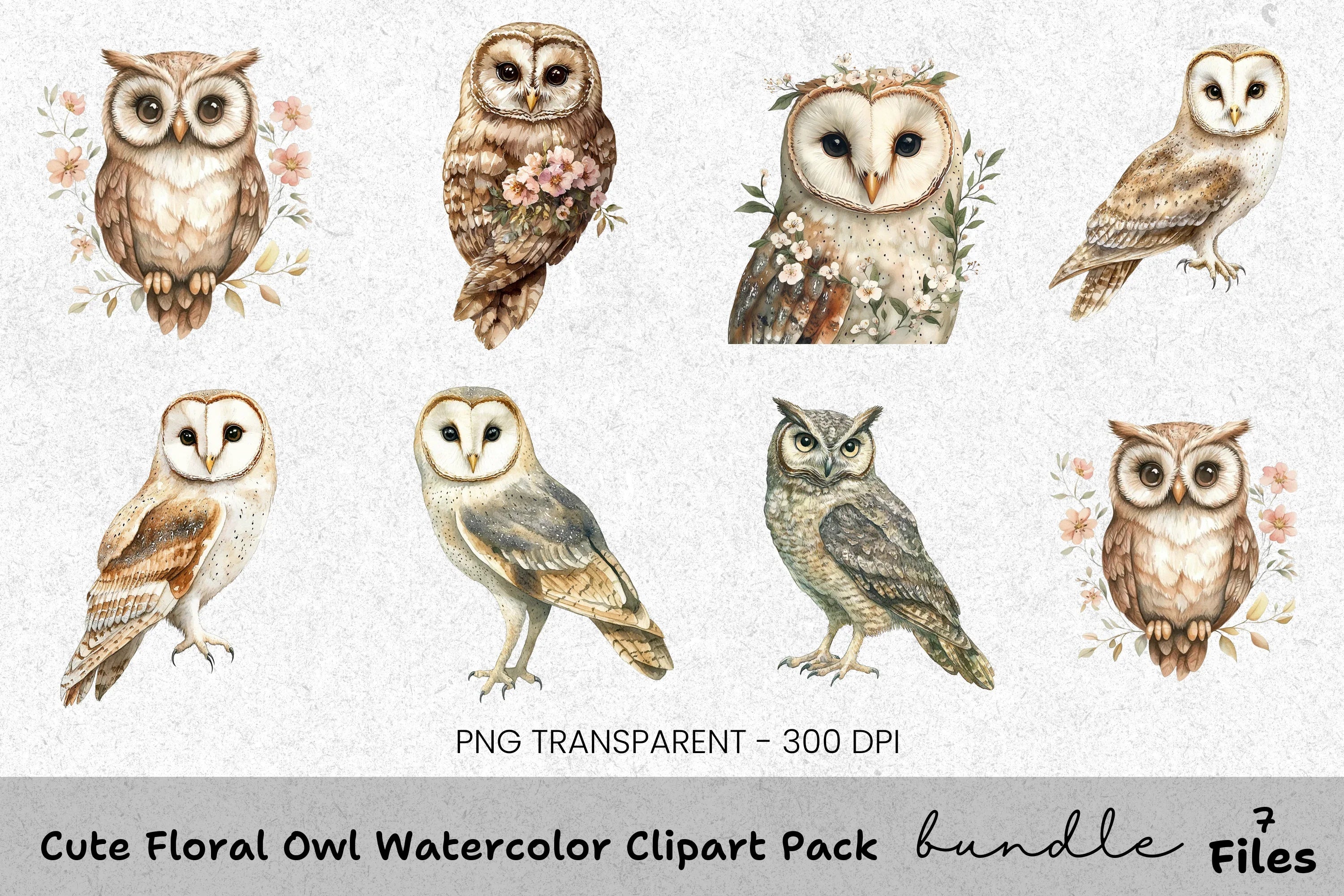 Cute Floral Owl Clipart Bundle