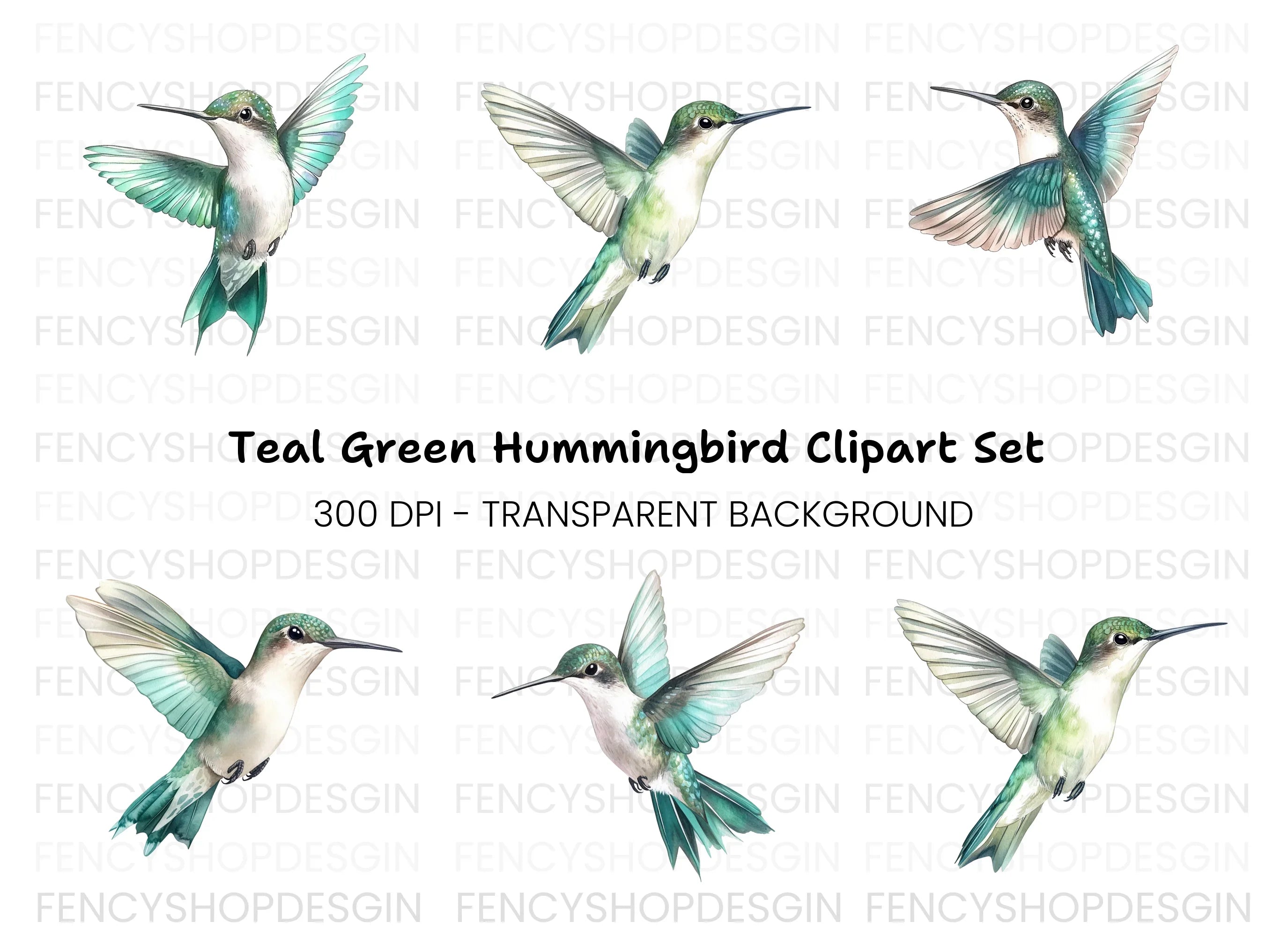 Hummingbird Clipart Bundle