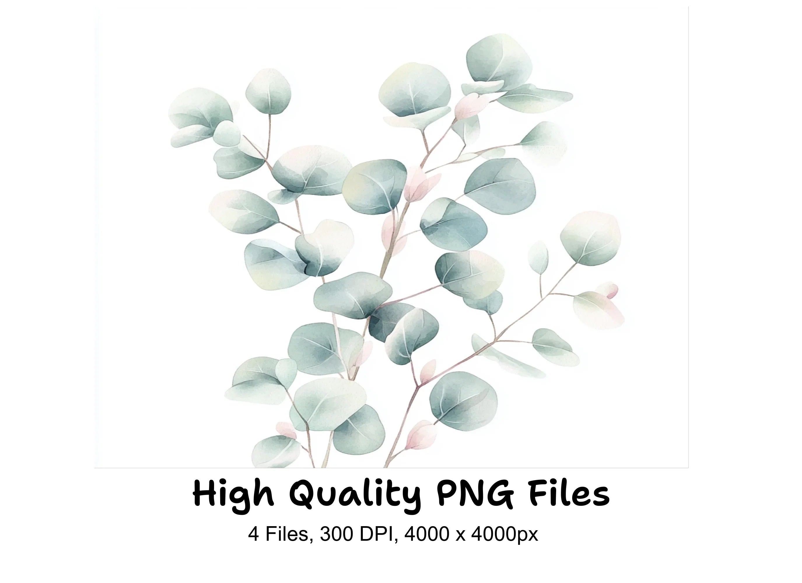 Soft Eucalyptus Leaves Clipart Bundle