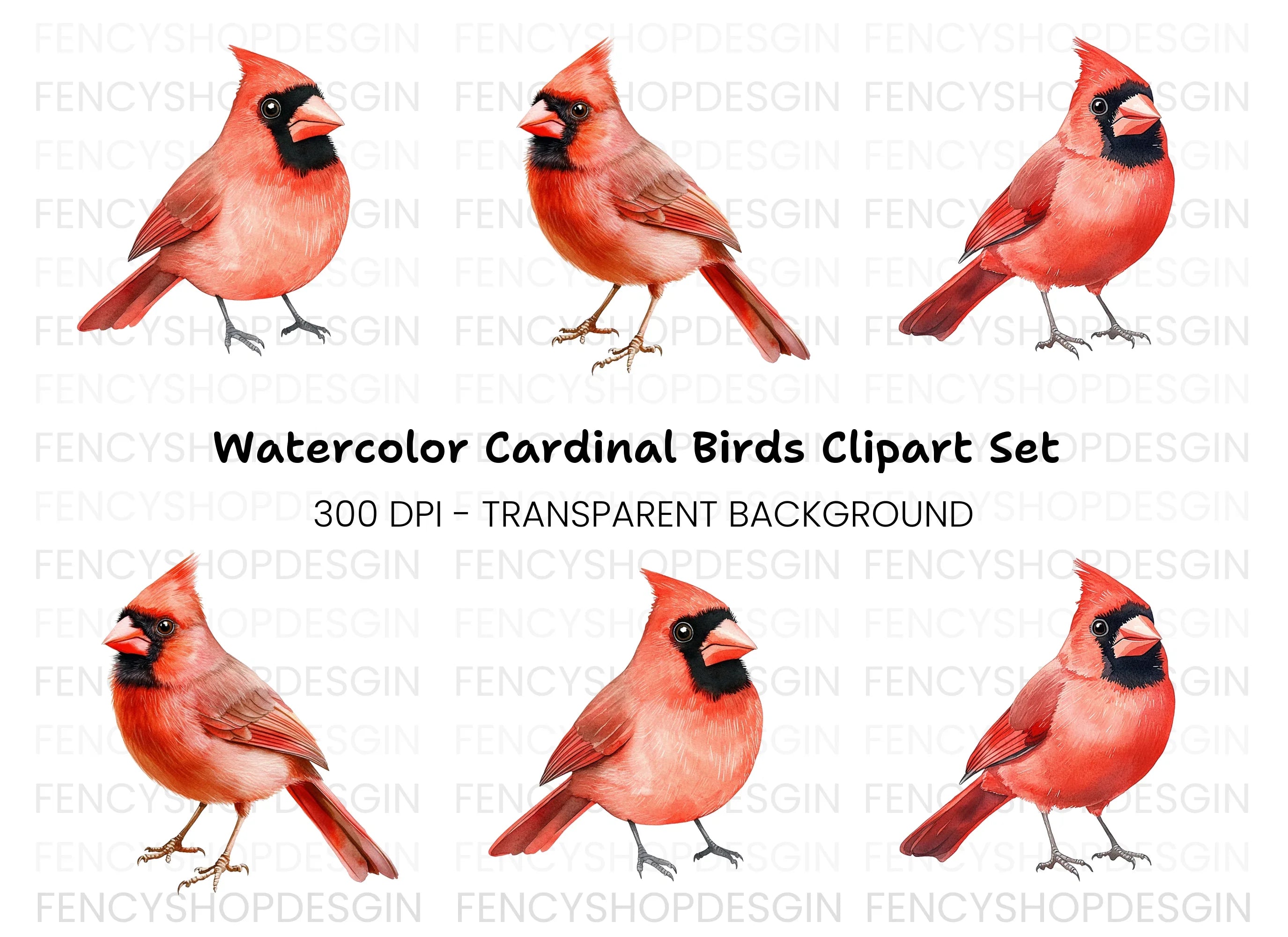 Realistic Red Cardinal Bird Clipart Bundle