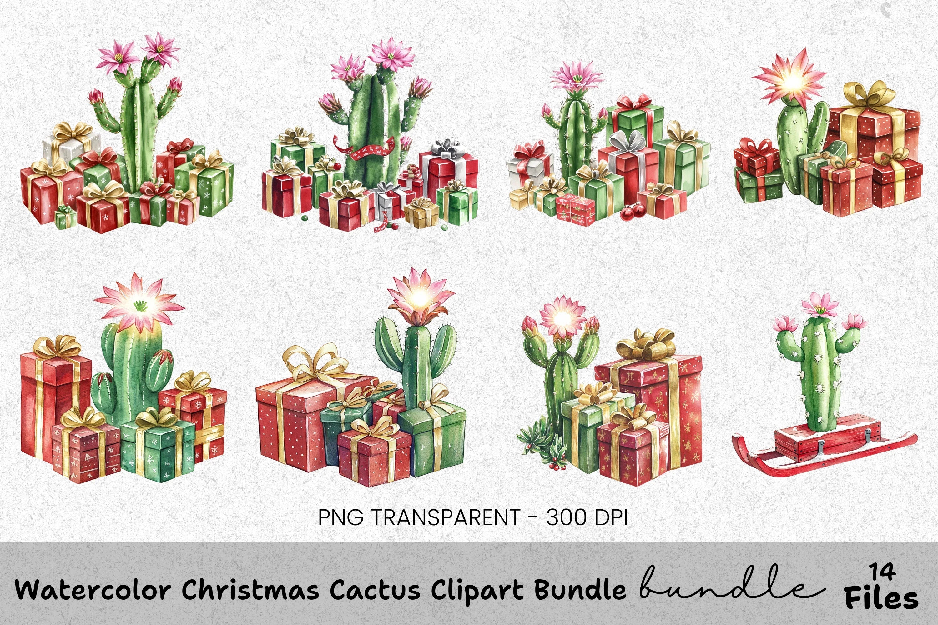 Christmas Cactus Clipart Bundle