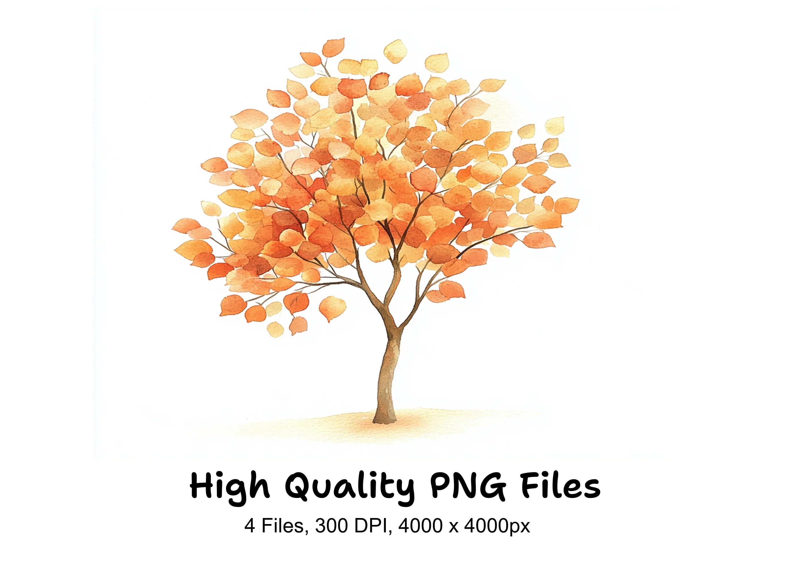 Autumn Trees Clipart Bundle
