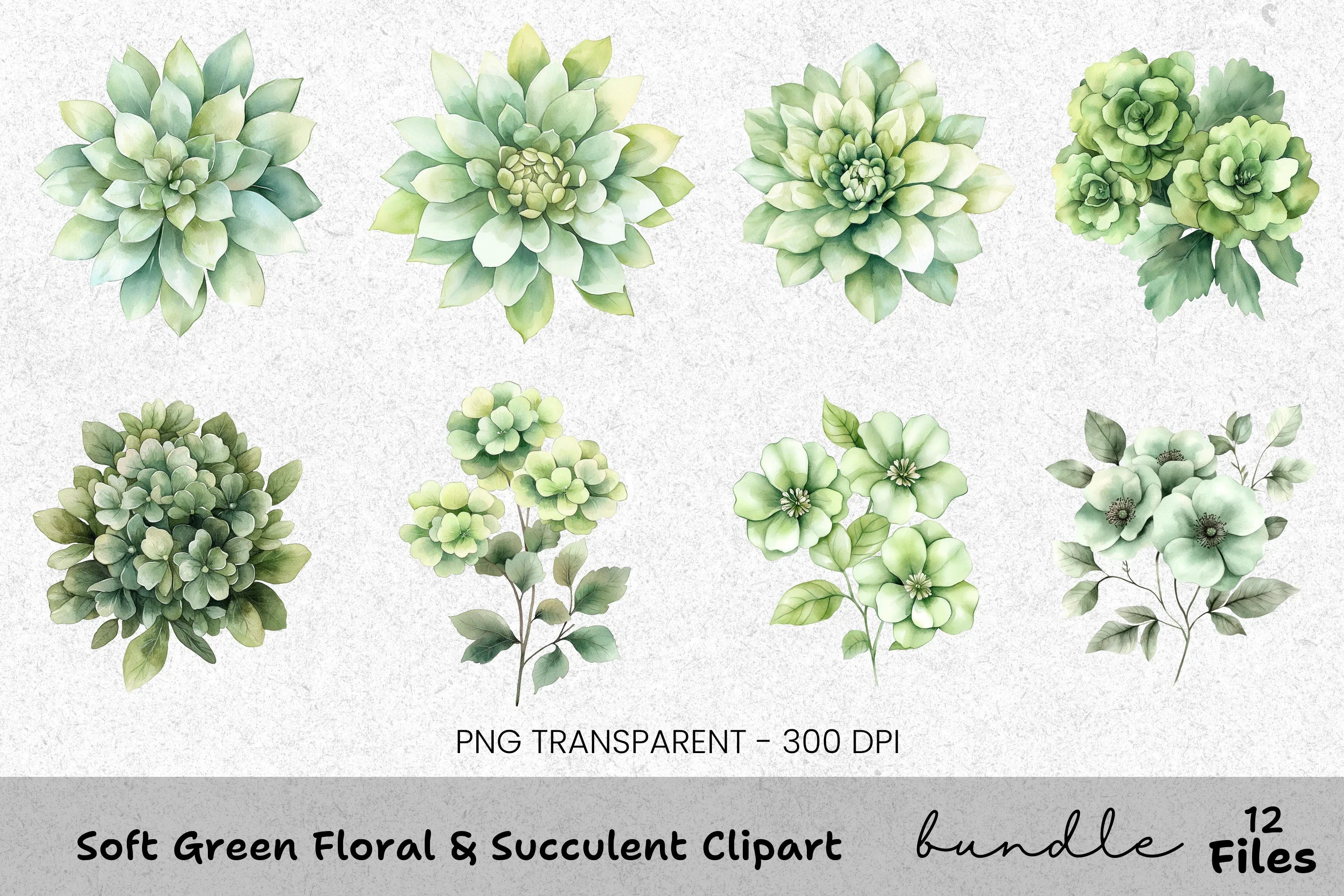 Soft Green Floral Succulent Clipart Bundle
