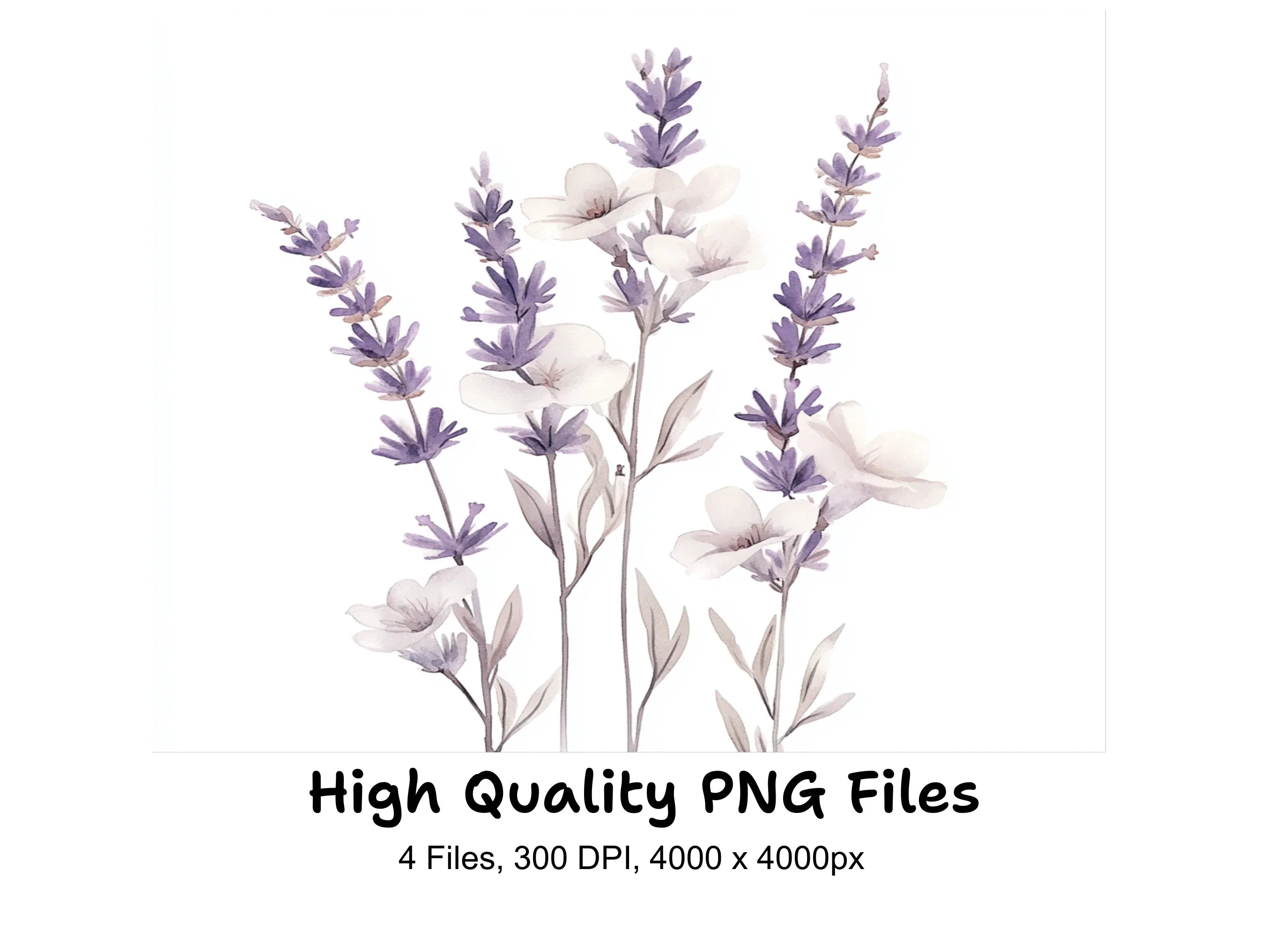 Lavender Clipart Bundle