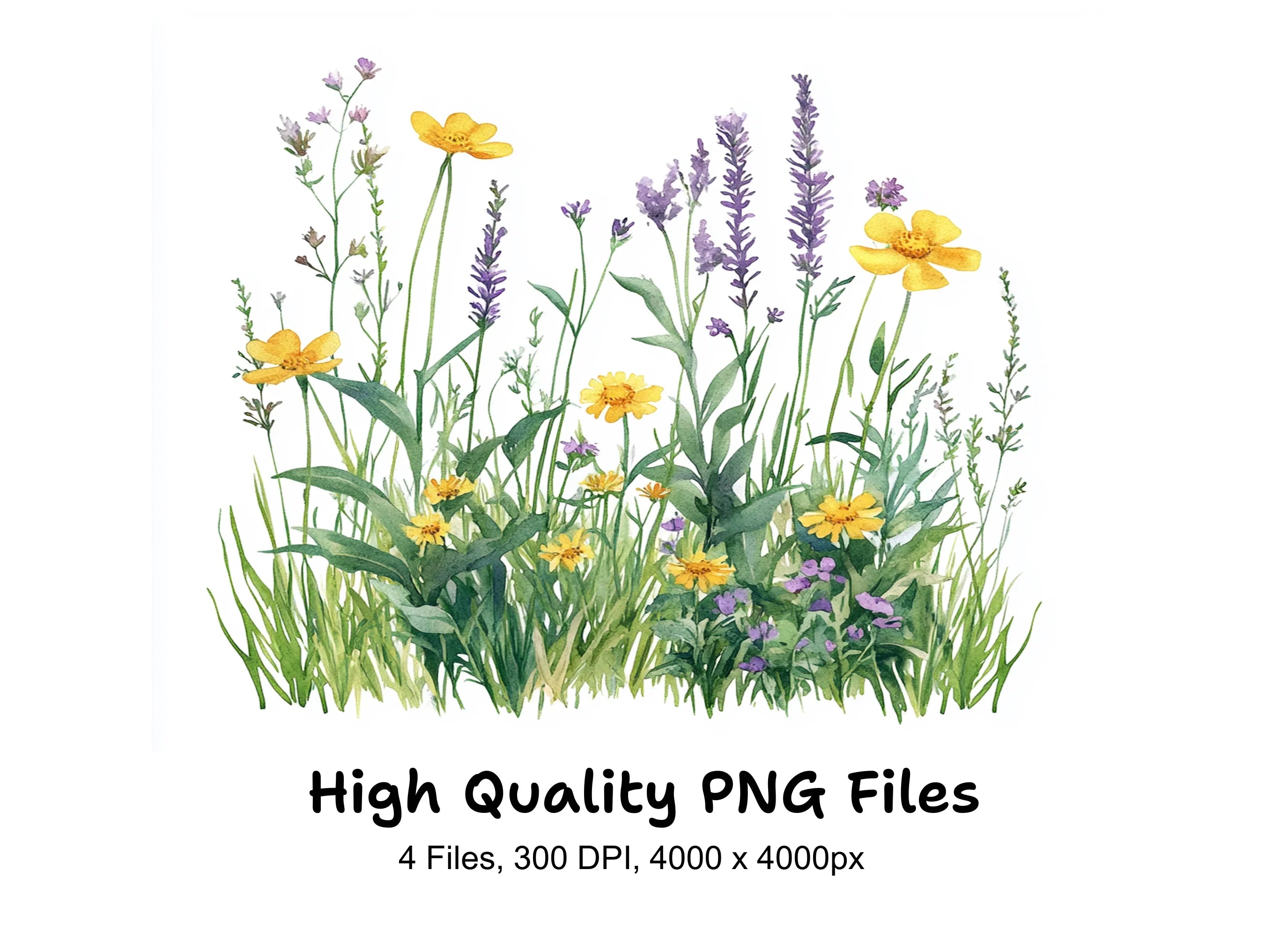 Wildflower Meadow Clipart Bundle
