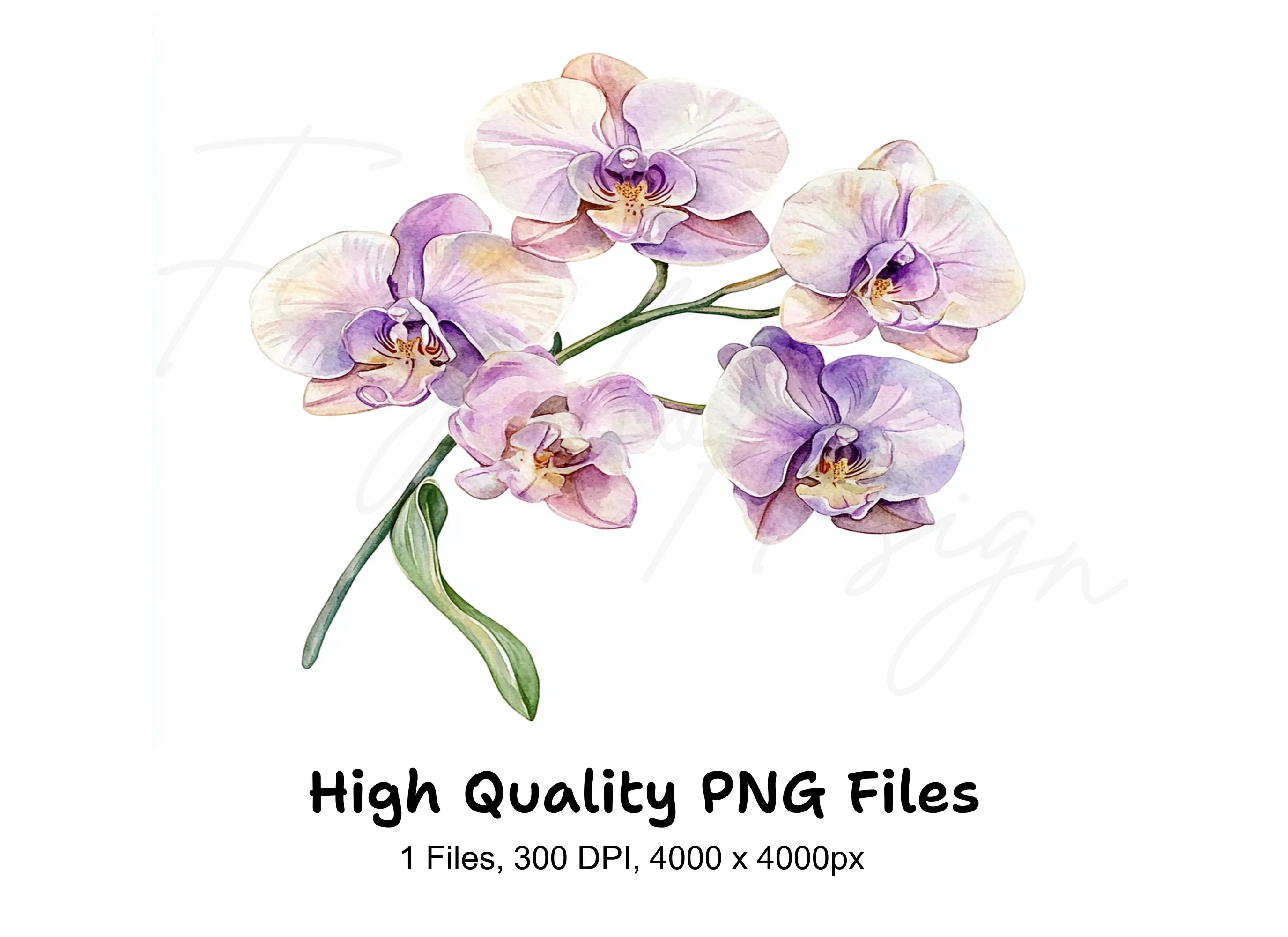 Elegant Orchid Clipart Bundle