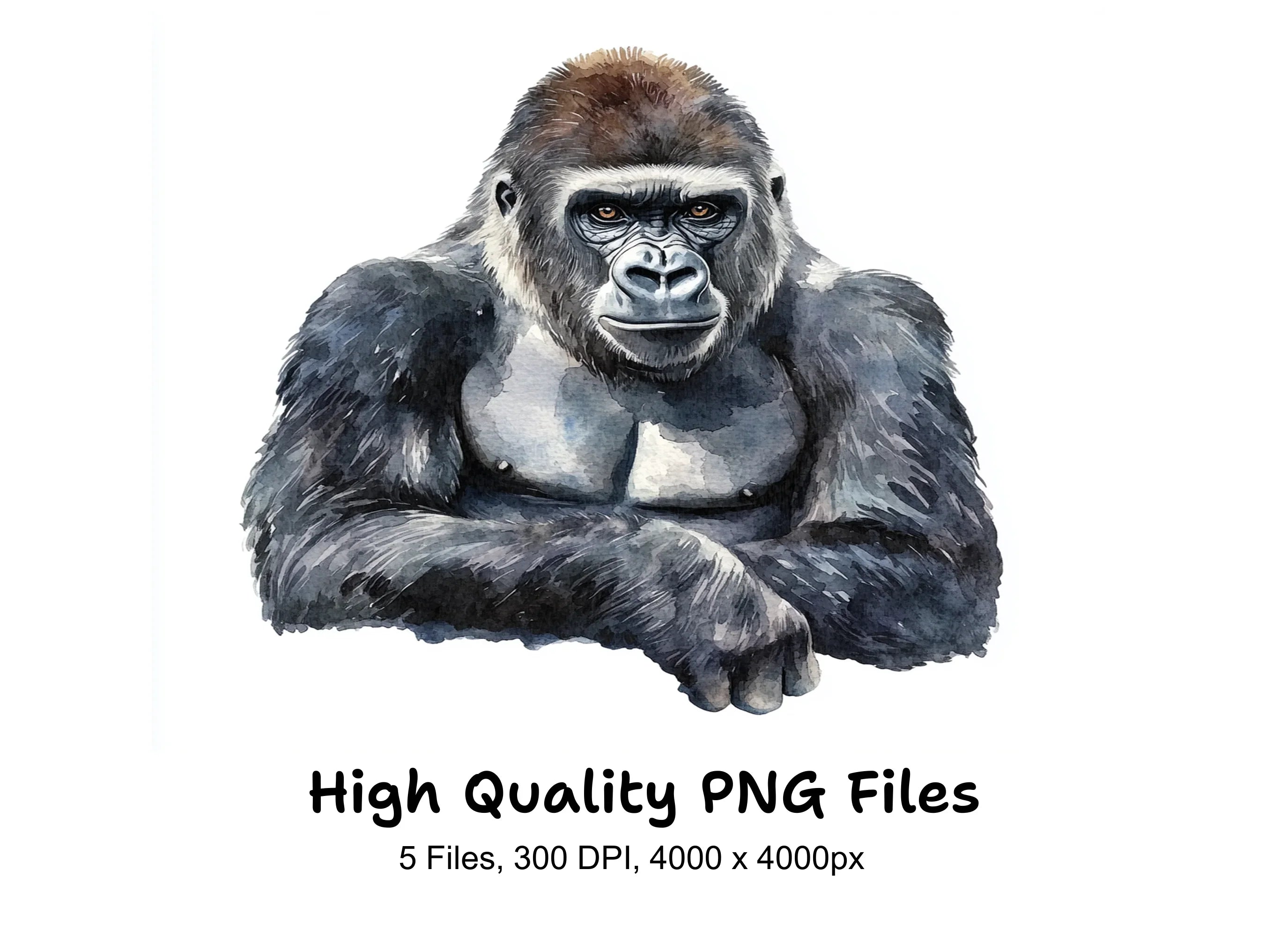 Gorilla Clipart Bundle