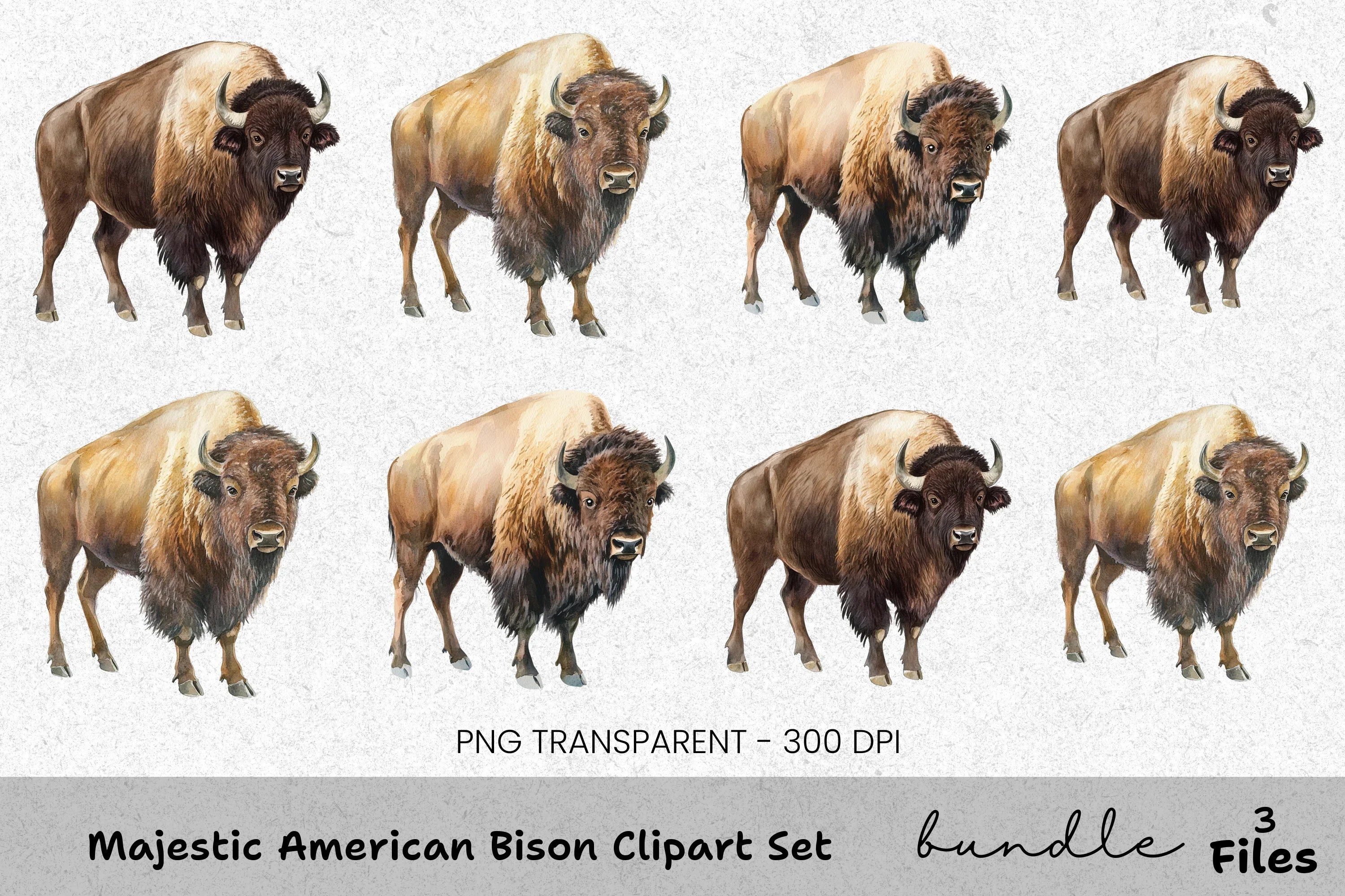 Majestic American Bison Clipart Bundle