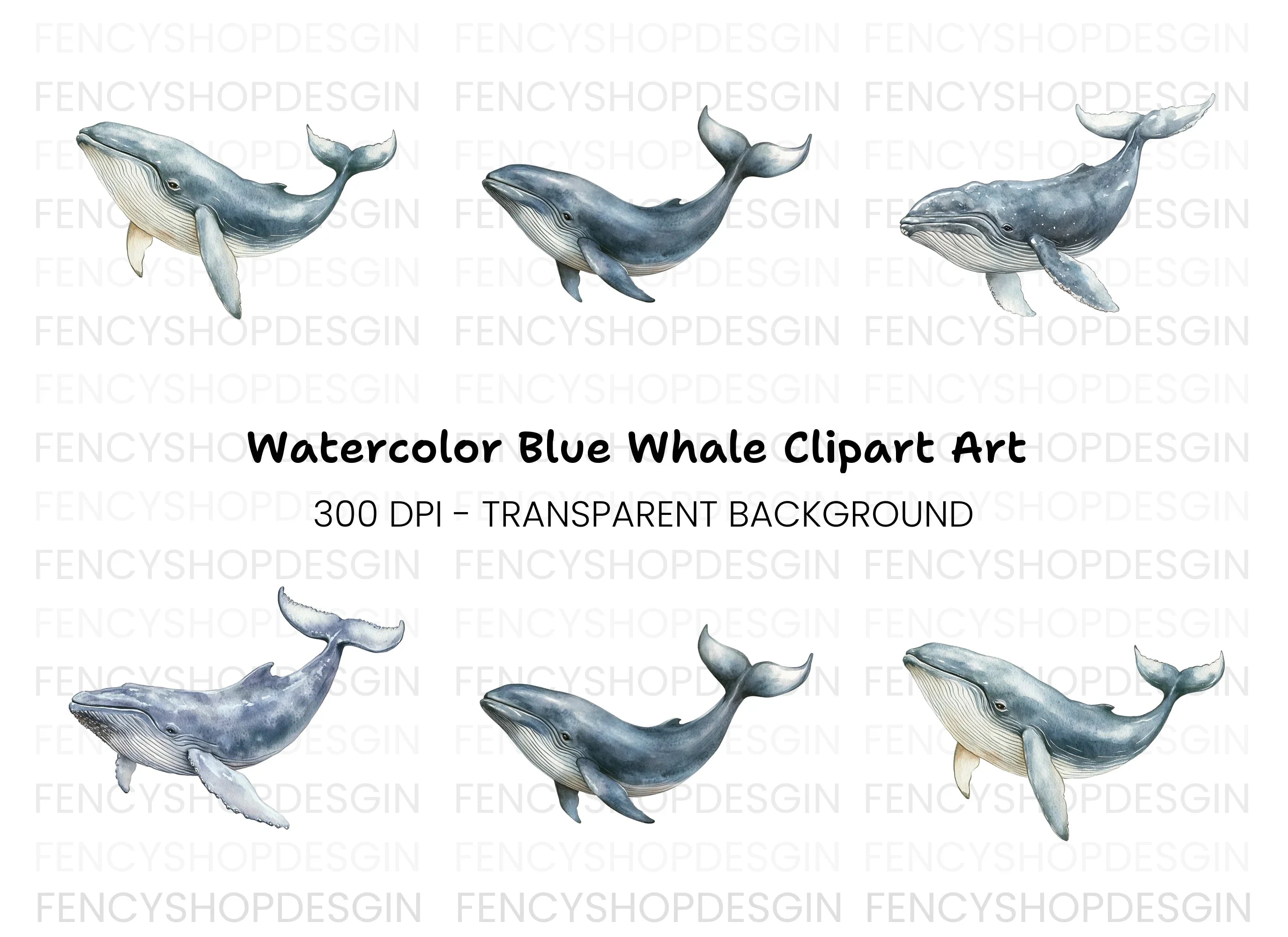 Humpback Whale Clipart Bundle