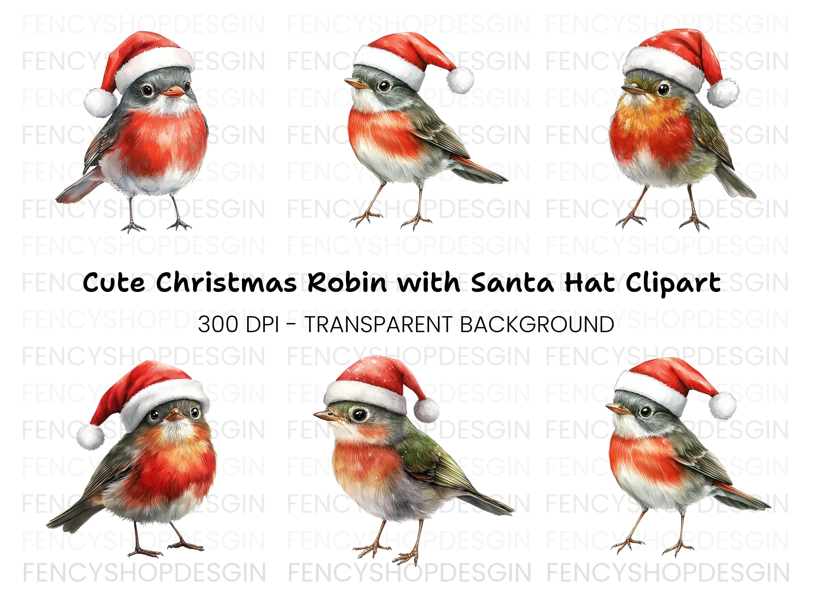 Christmas Robin Birds Clipart Bundle