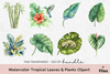 Tropical Leaves & Plants Clipart Bundle