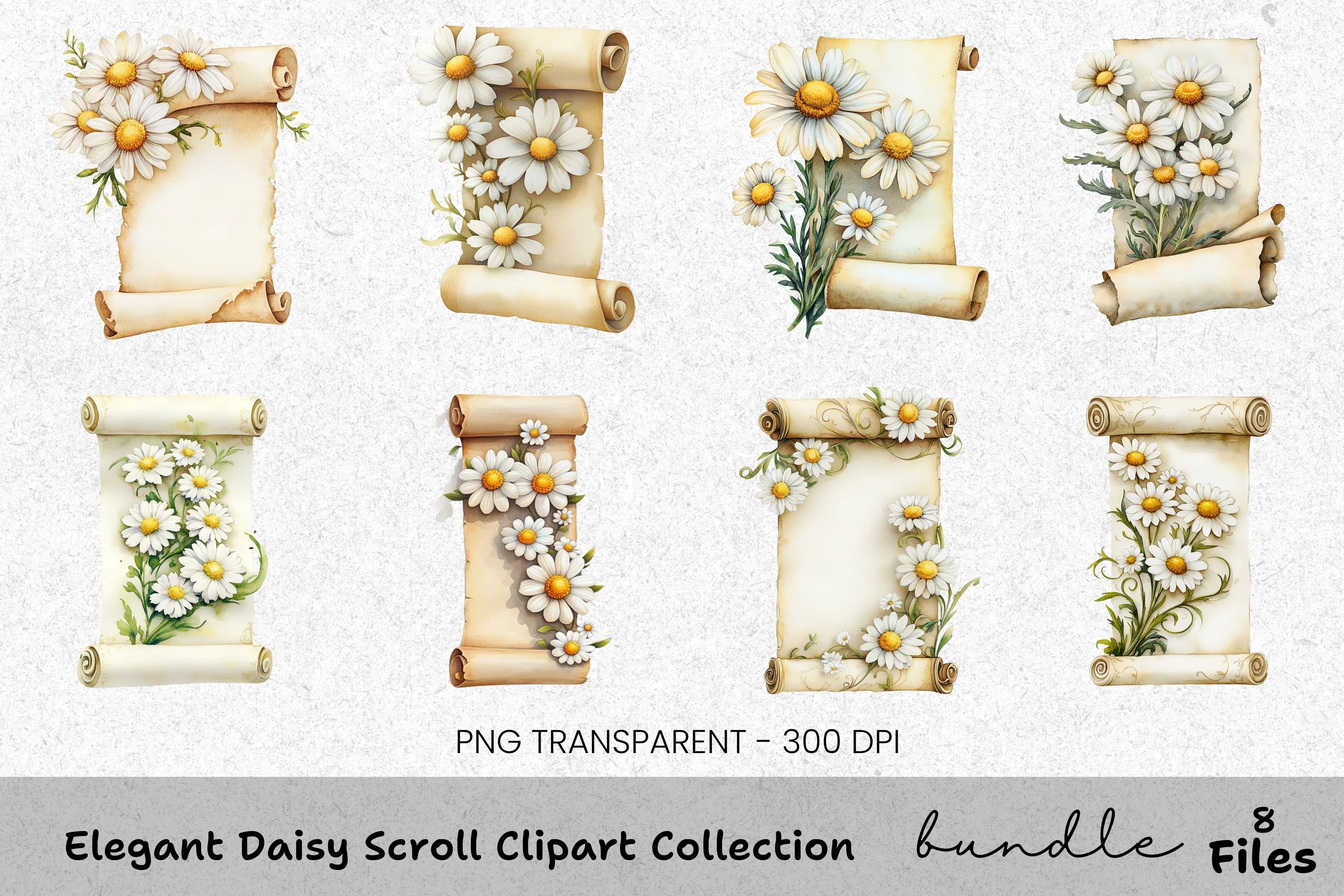 Elegant Daisy Scroll Clipart Bundle