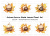 Autumn Acorns and Maple Leaves Clipart Bundle