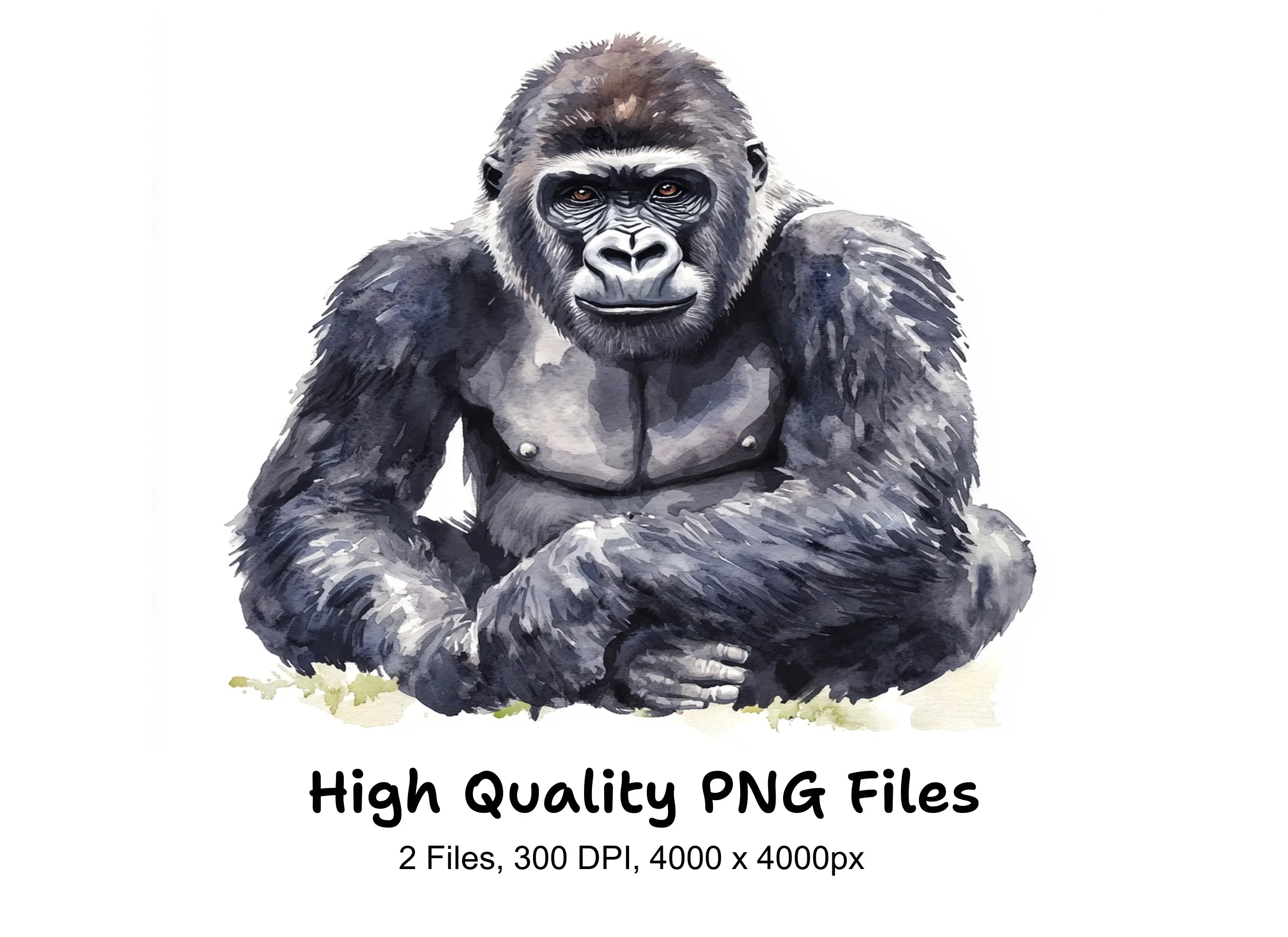 Sitting Gorilla Clipart Bundle