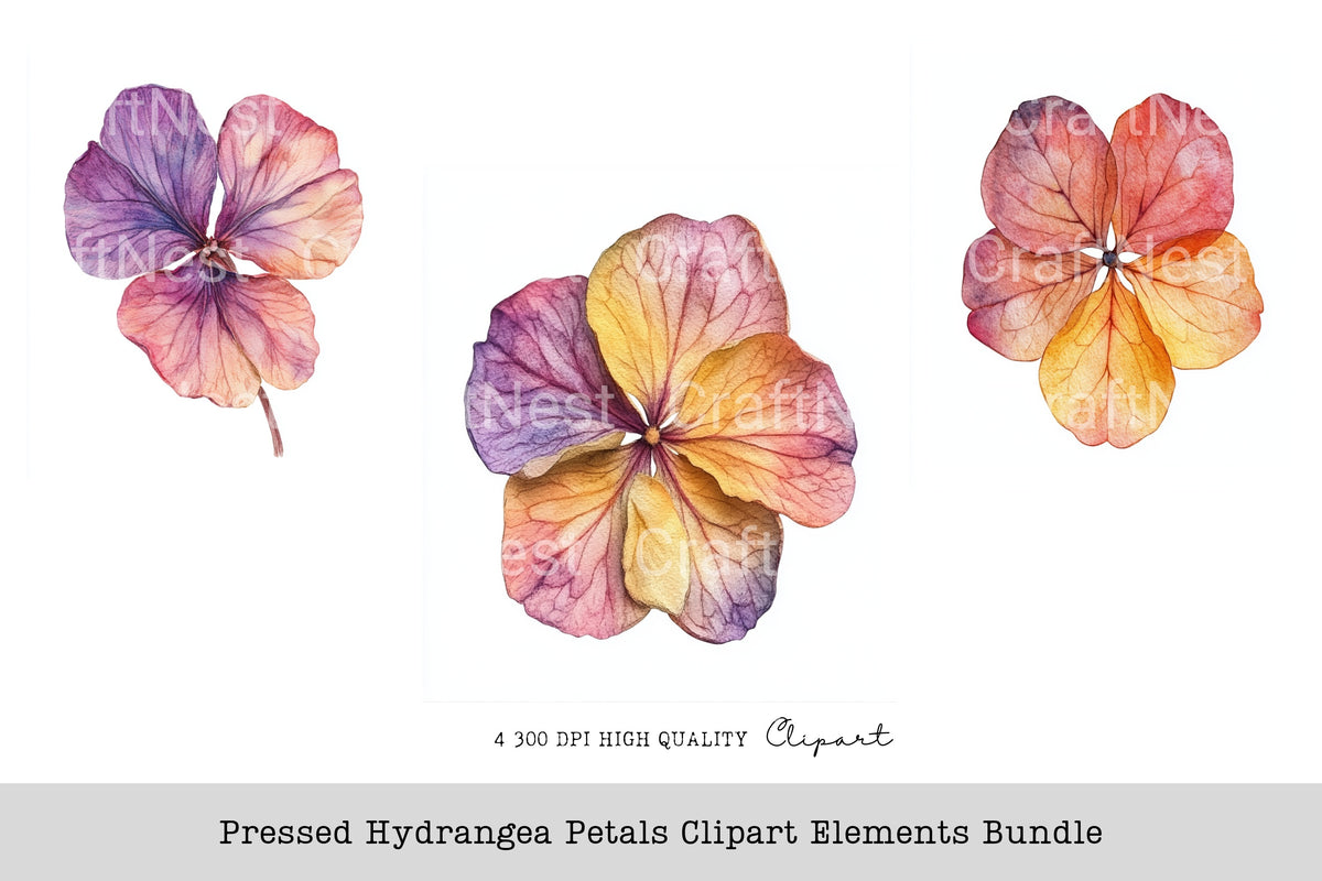 Pressed Hydrangea Petals Elements Clipart Bundle