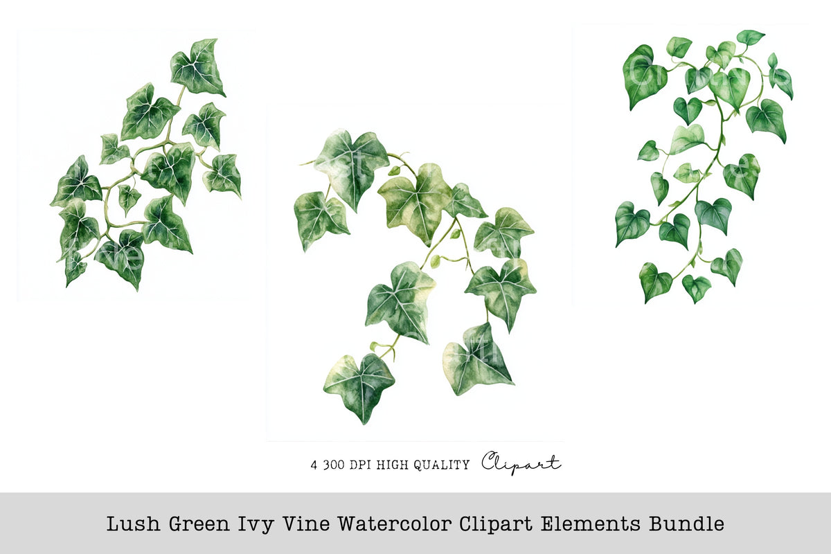 Lush Green Ivy Vine Elements Clipart Bundle